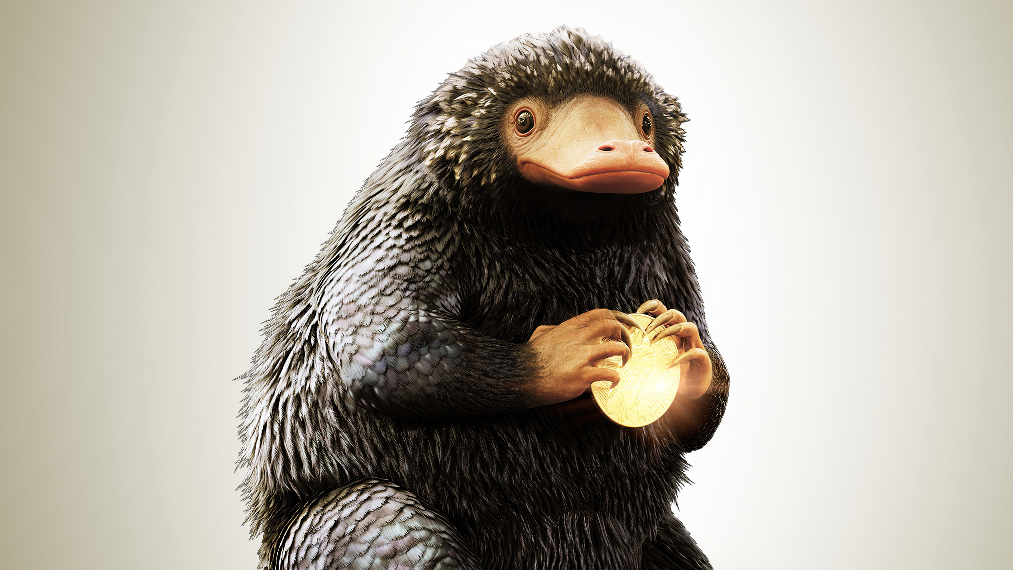 Niffler, Fantastic Beasts, Find them, HD, 3840x2160 4K Desktop