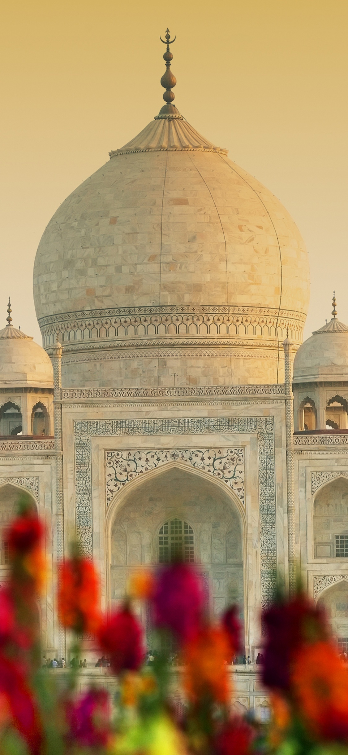 Dome, The Taj Mahal Wallpaper, 1130x2440 HD Phone