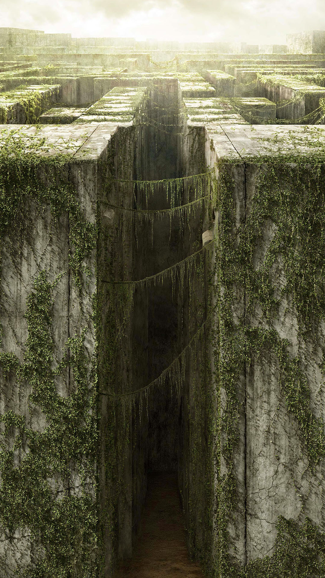 Maze (Other), Eye-catching Maze Runner poster, The Maze Runner, 1080x1920 Full HD Phone