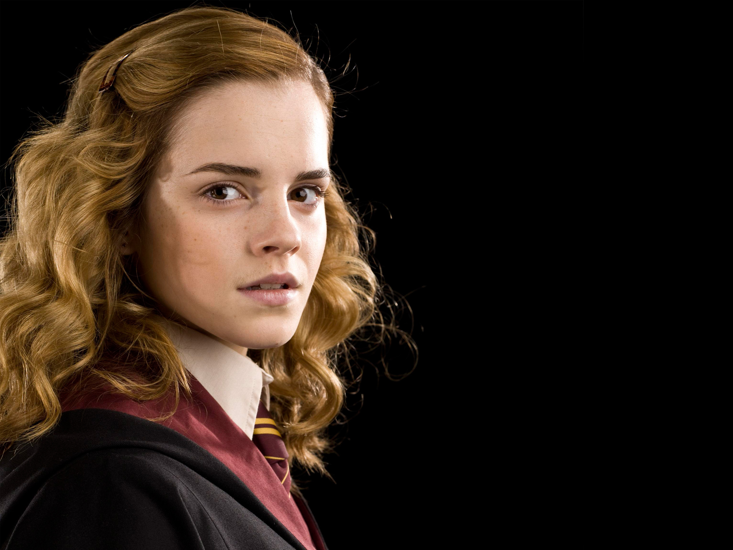 Hermione portrait, Emma Watson, Hogwarts icon, Wallpaper resolution, 2560x1920 HD Desktop