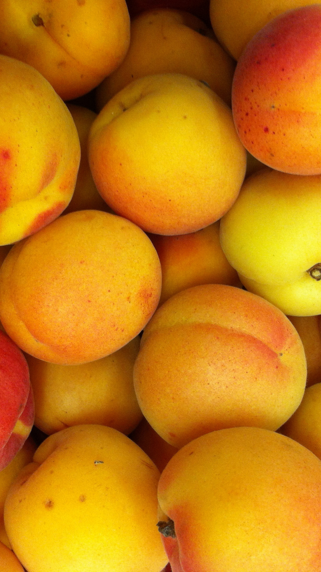 Apricot best HD, Baltana wallpaper, 1080x1920 Full HD Phone