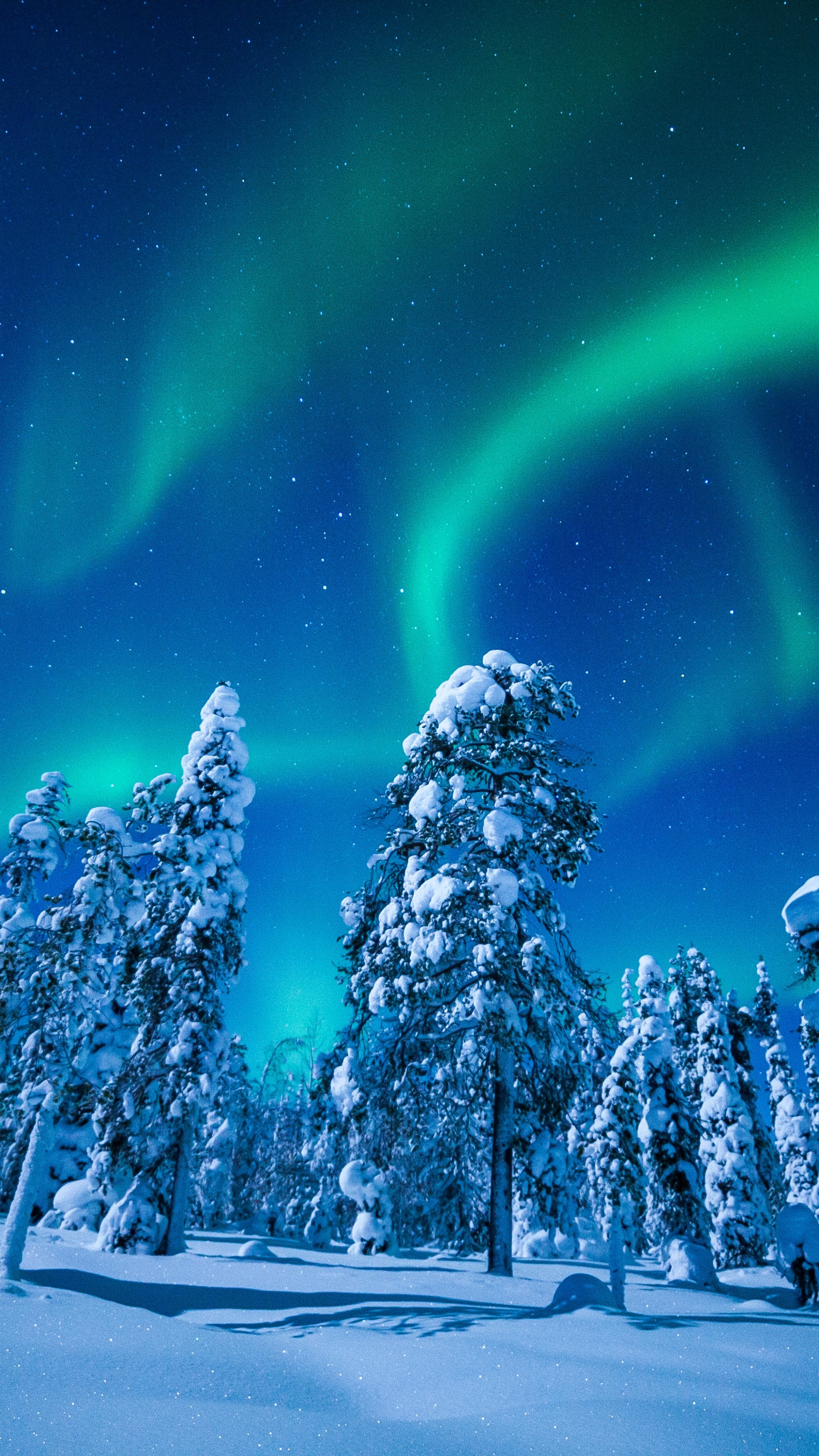 Northern lights, Snow Wallpaper, 2160x3840 4K Phone