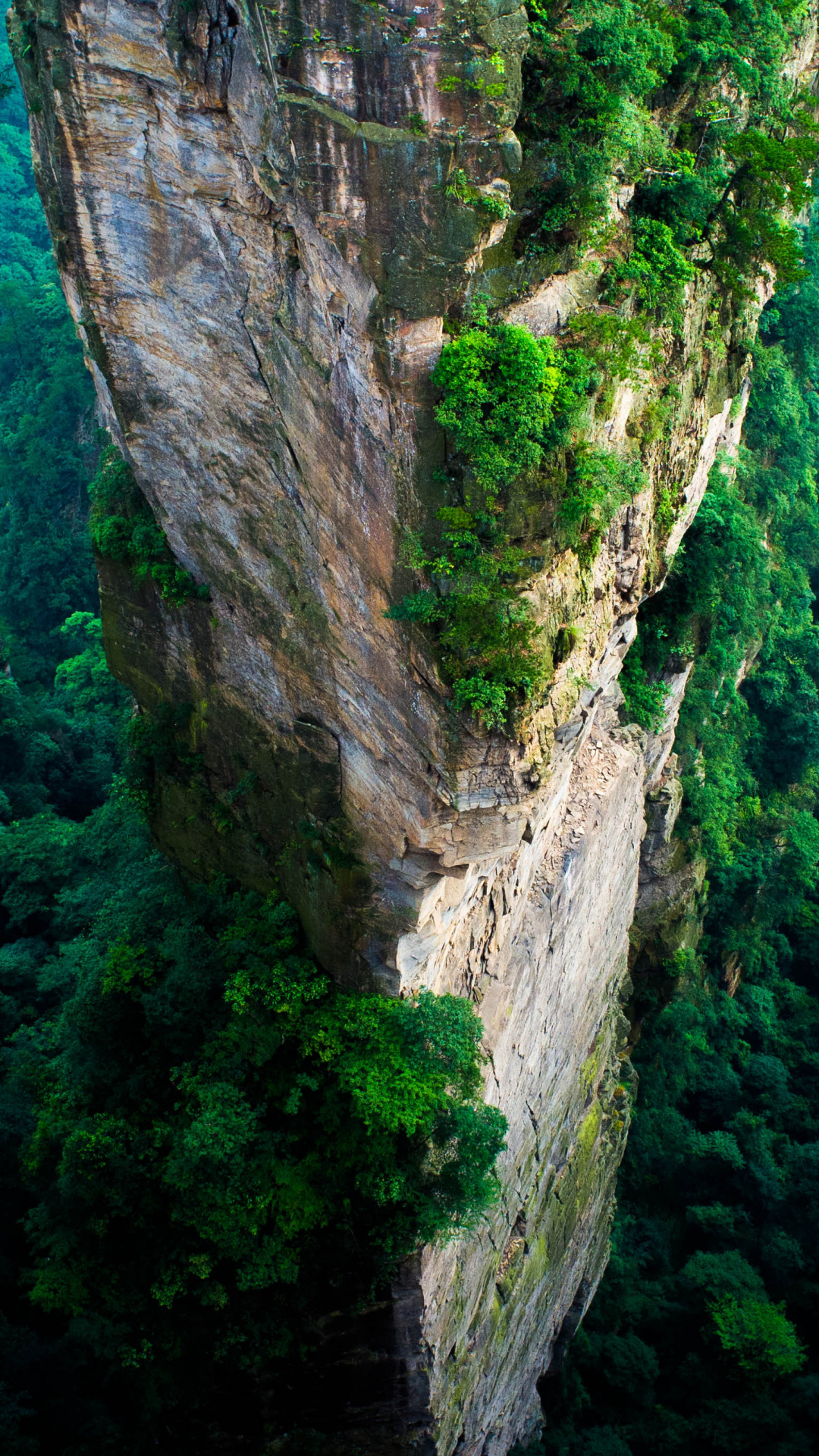 Zhangjiajie Travels, Zhangjiajie wallpaper, Forest park, Petrfied Forest, 1080x1920 Full HD Phone