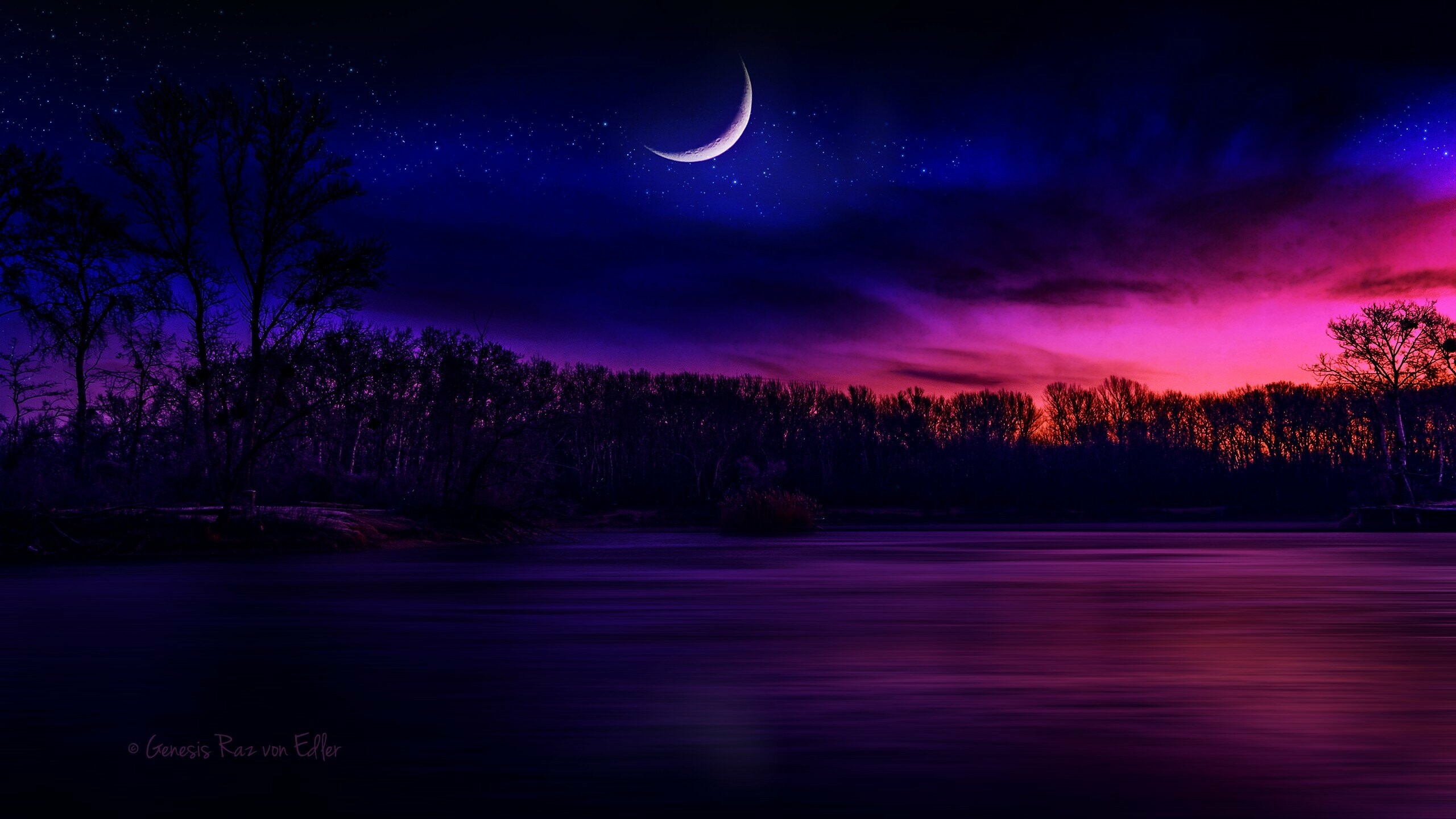 Moonlight beauty, Nighttime illumination, Luminous celestial body, Magical glow, 2560x1440 HD Desktop