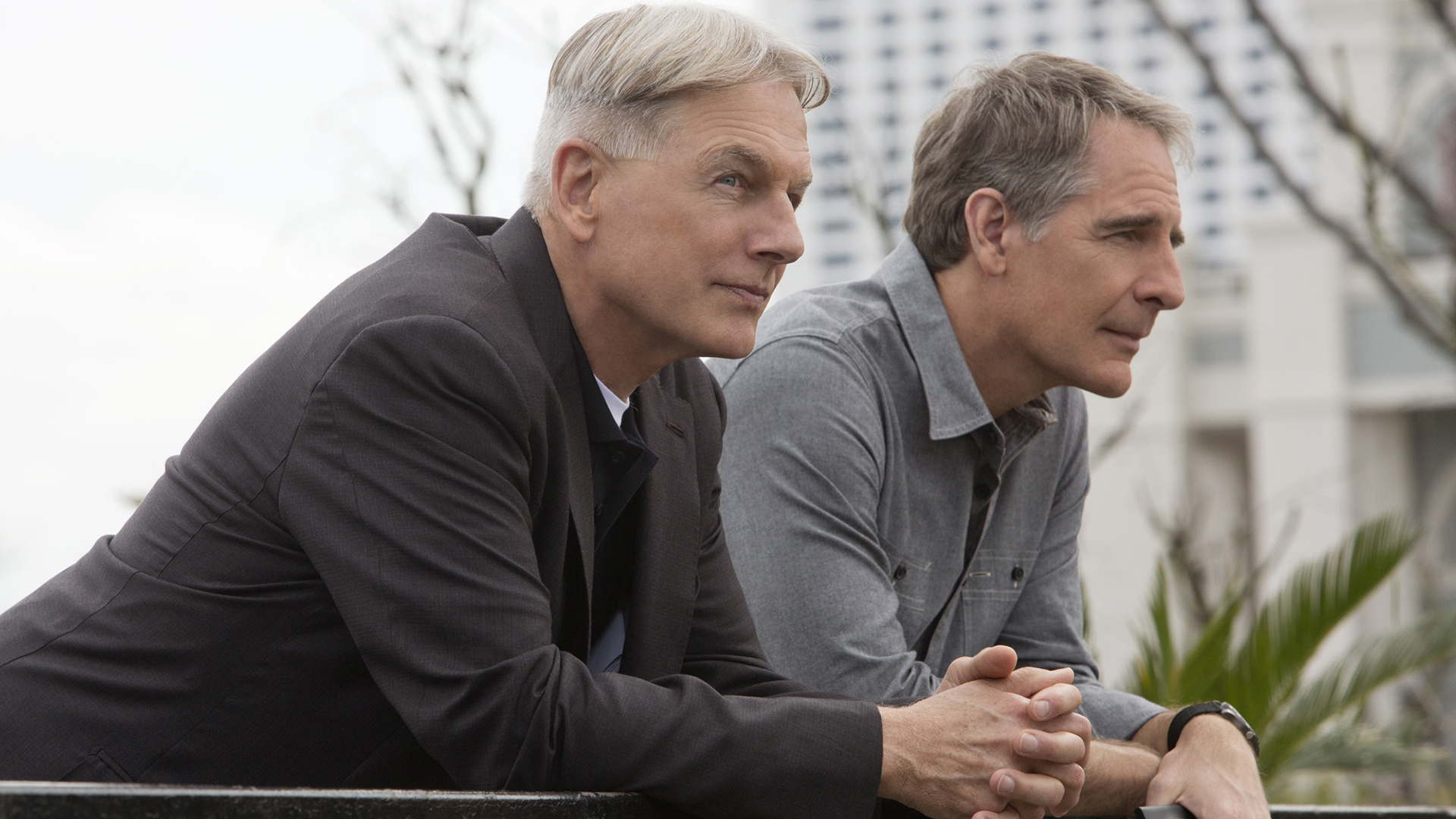 NCIS: New Orleans, Copyright issues, Legal matters, Industry news, 1920x1080 Full HD Desktop