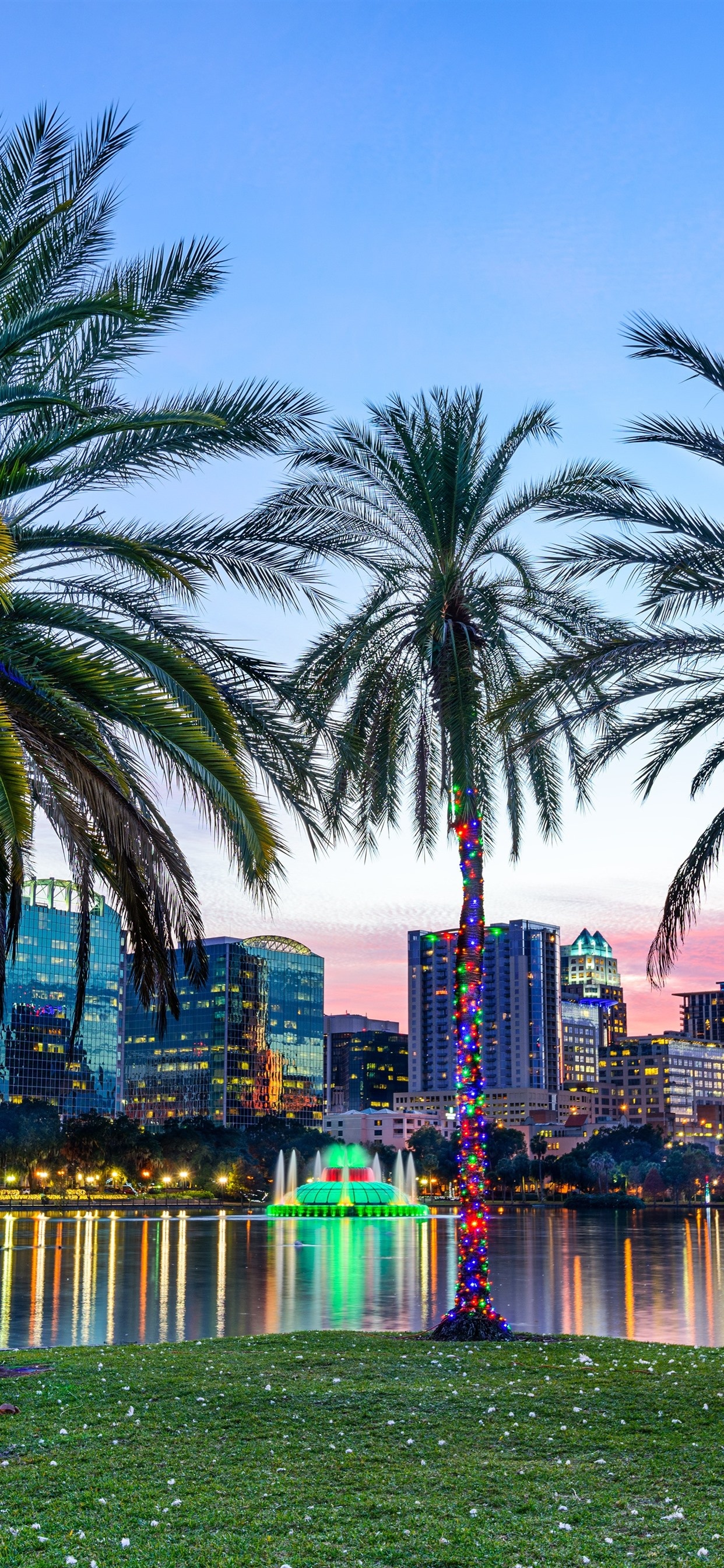 Orlando travels, iPhone wallpaper, Lake Eola Park, Orlando palm trees, 1250x2690 HD Phone