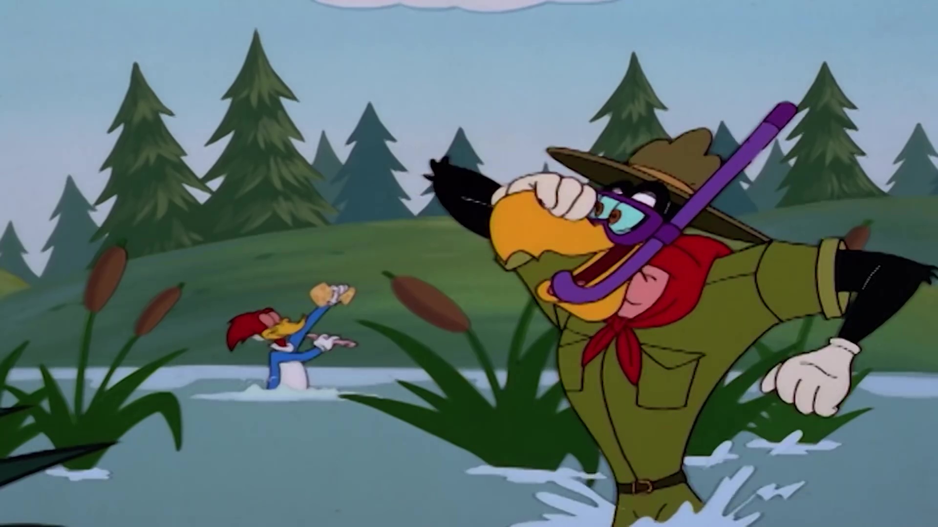 Buzz Buzzard Animation, Comedy episode, Crazy laughs, 1920x1080 Full HD Desktop