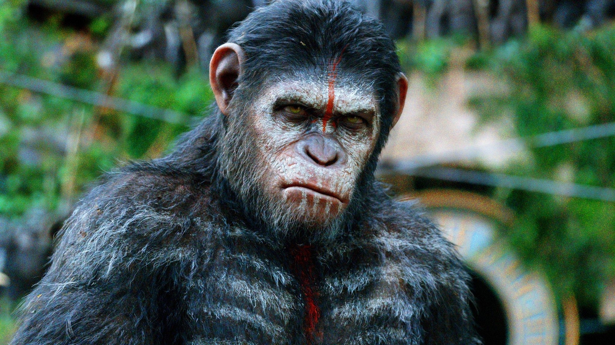 Matt Reeves, Dawn of the Planet of the Apes, Ian Farrington, 2050x1160 HD Desktop