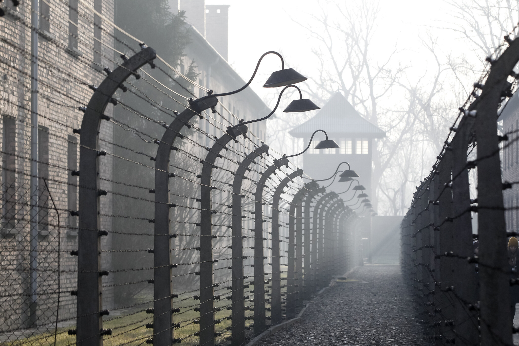 Auschwitz escape, German denier, Brazil hideout, 2050x1370 HD Desktop