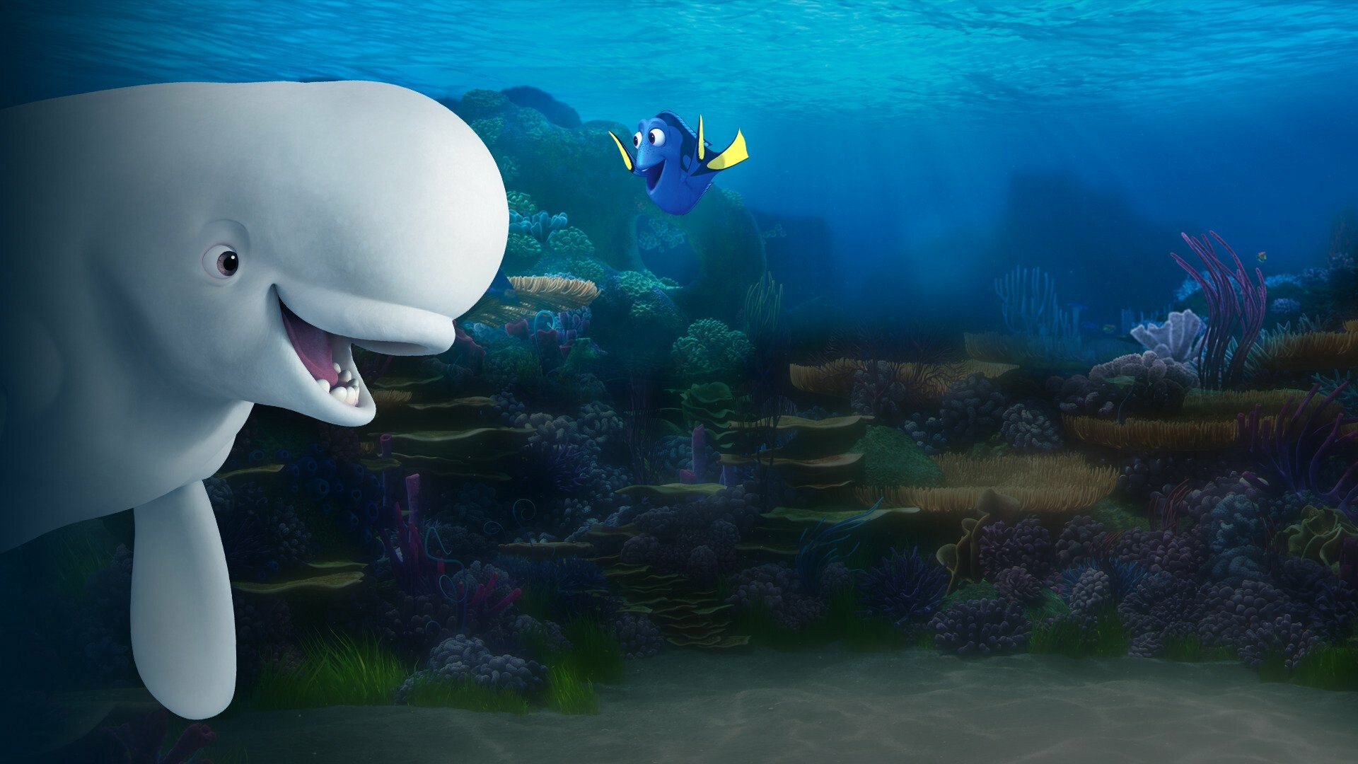 Bailey and Dory, Finding Dory Wallpaper, 1920x1080 Full HD Desktop