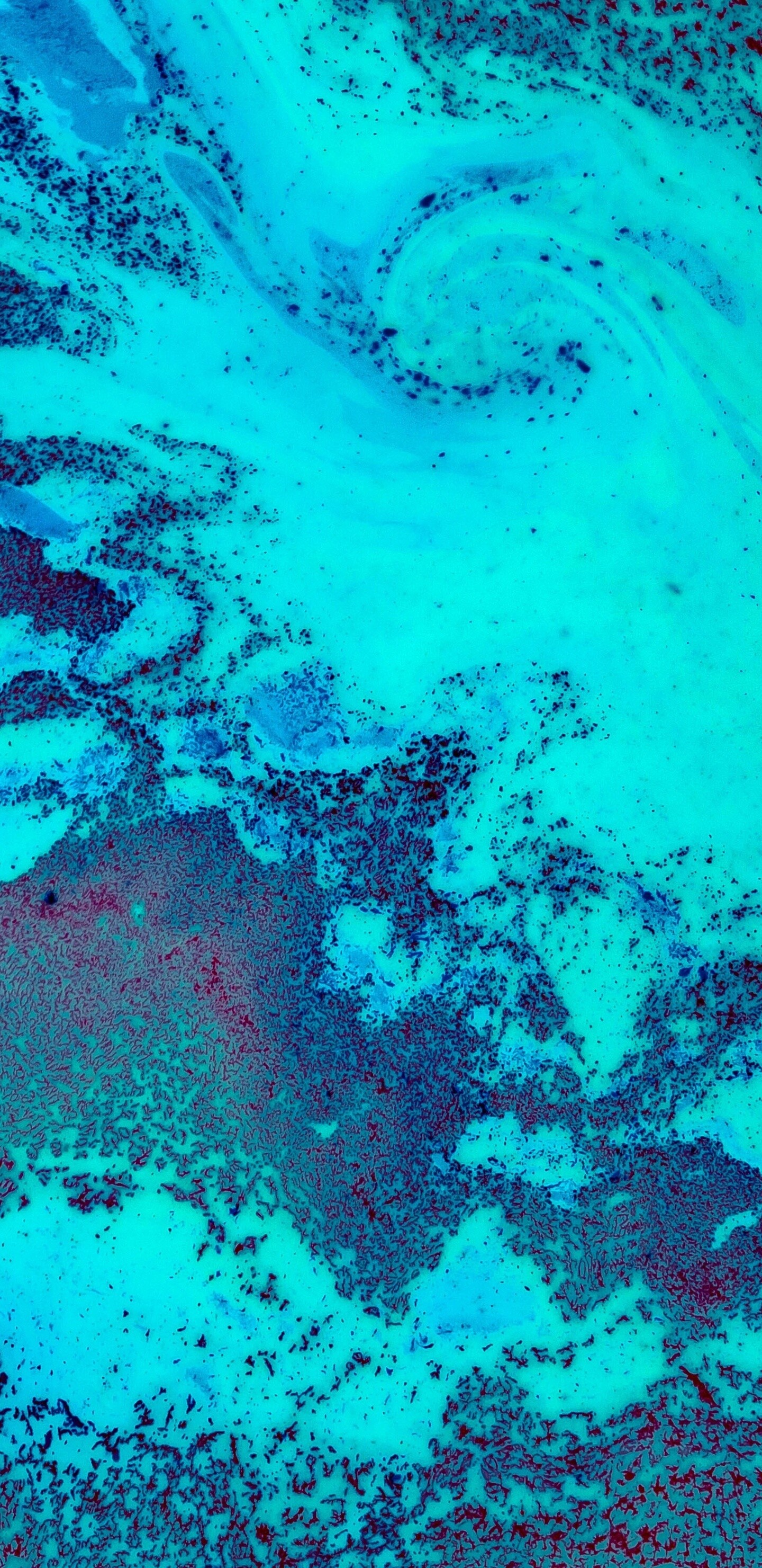 Coral reef 5K, Samsung Galaxy Note 9 8 S9 S8 S8 QHD HD, Images backgrounds, 1440x2960 HD Phone