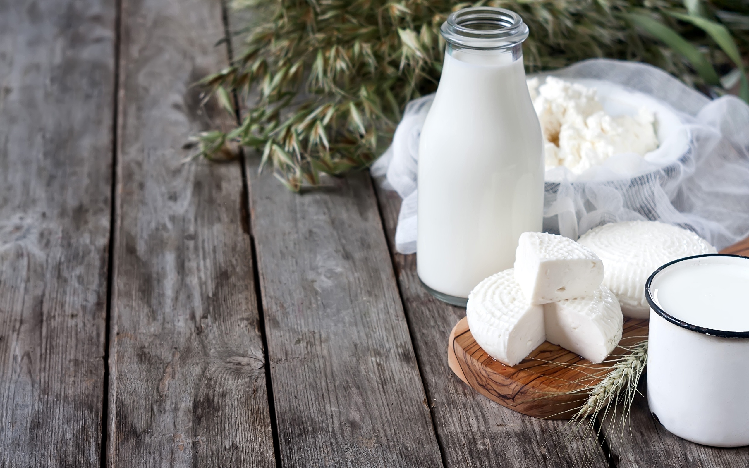 Free milk wallpapers, High-quality images, Creamy texture, Milk beverage, 2560x1600 HD Desktop
