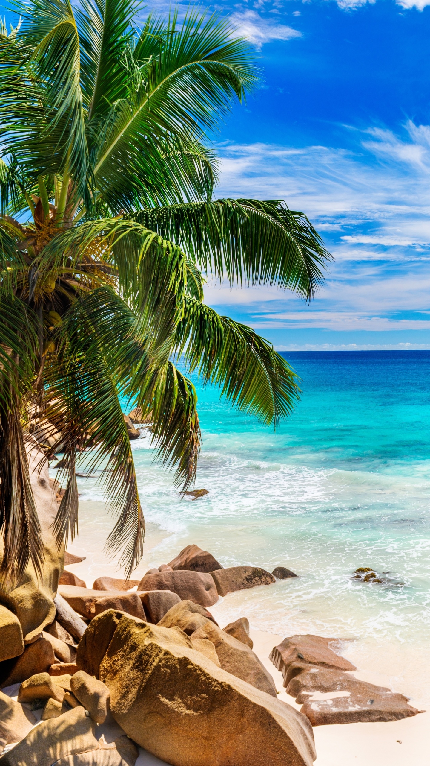 Earth beach, Natural wonder, Pristine coastline, Sandy shores, 1440x2560 HD Phone