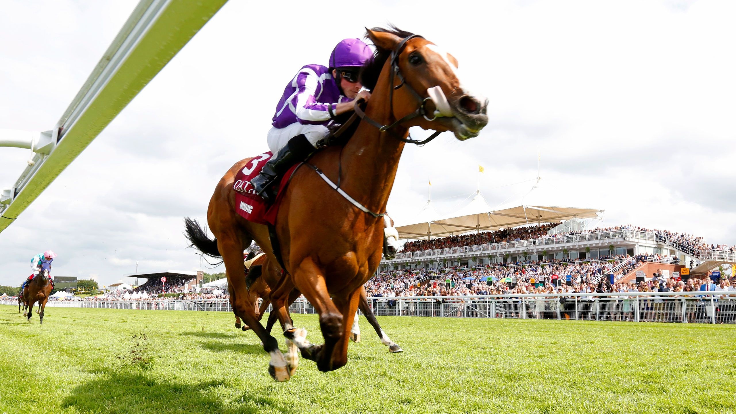 Glorious Goodwood 2016, Horse Racing Wallpaper, 2560x1440 HD Desktop