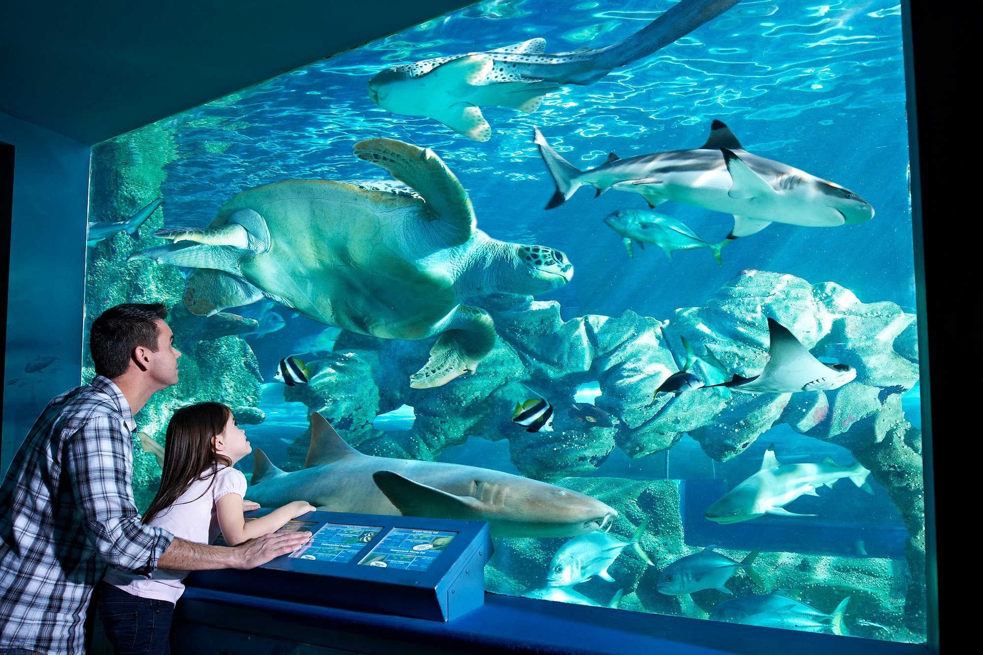 Bournemouth, Oceanarium Wallpaper, 2000x1340 HD Desktop