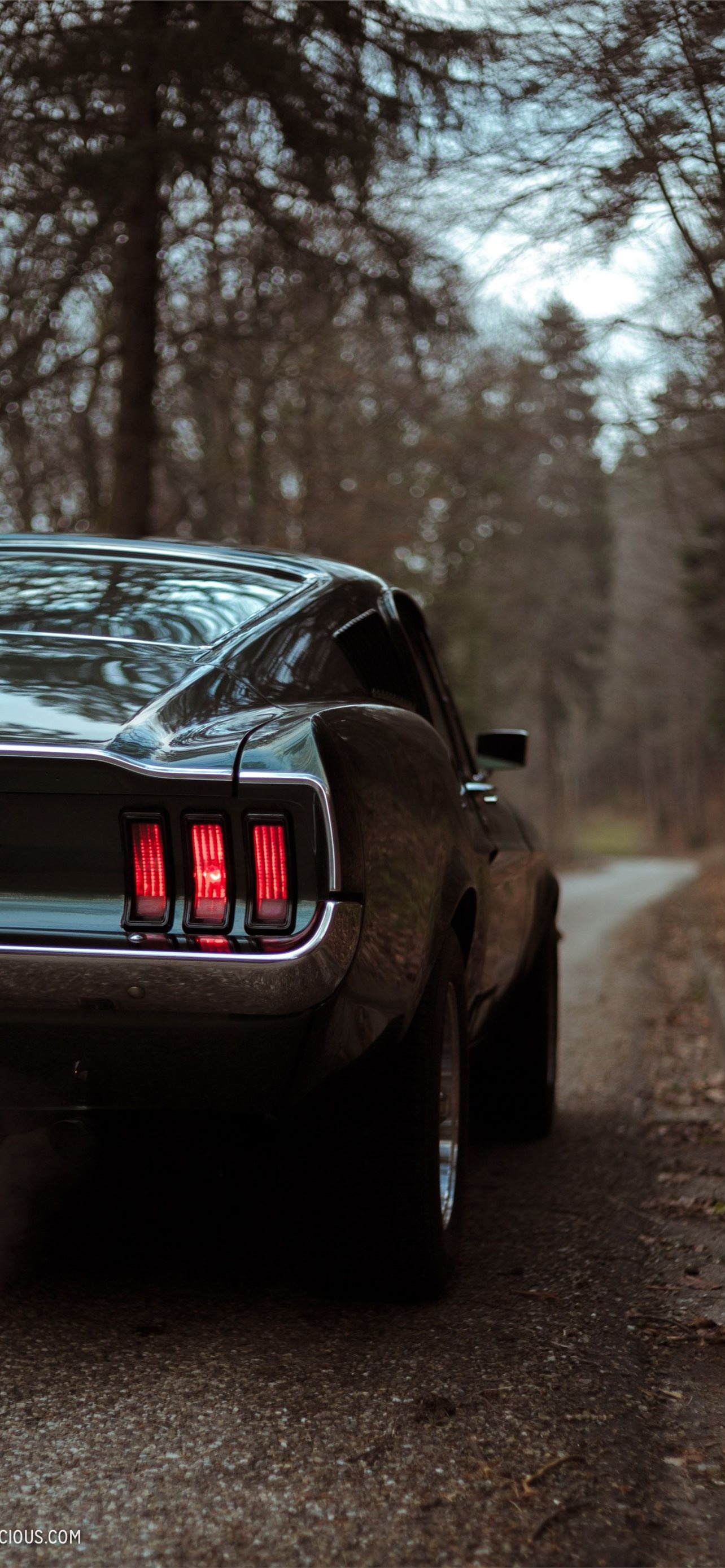 Ford Mustang Fastback, Tri-bar taillight, Narrow forest road, HD Phone wallpaper