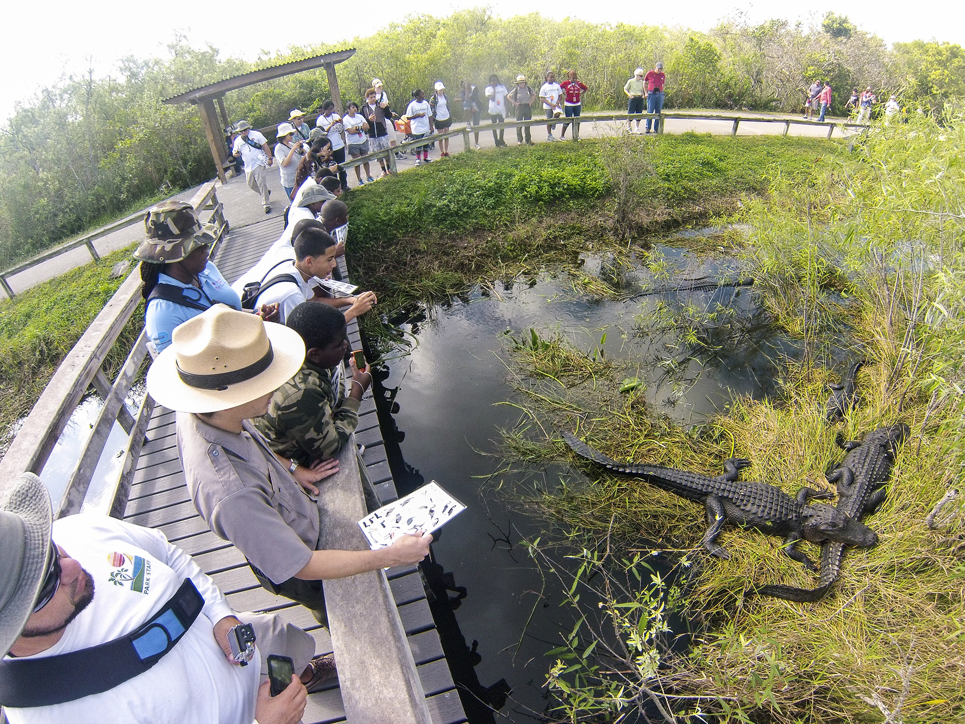 Everglades National Park, Wallpaper collection, Posted by Michelle Sellers, Breathtaking shots, 1920x1440 HD Desktop