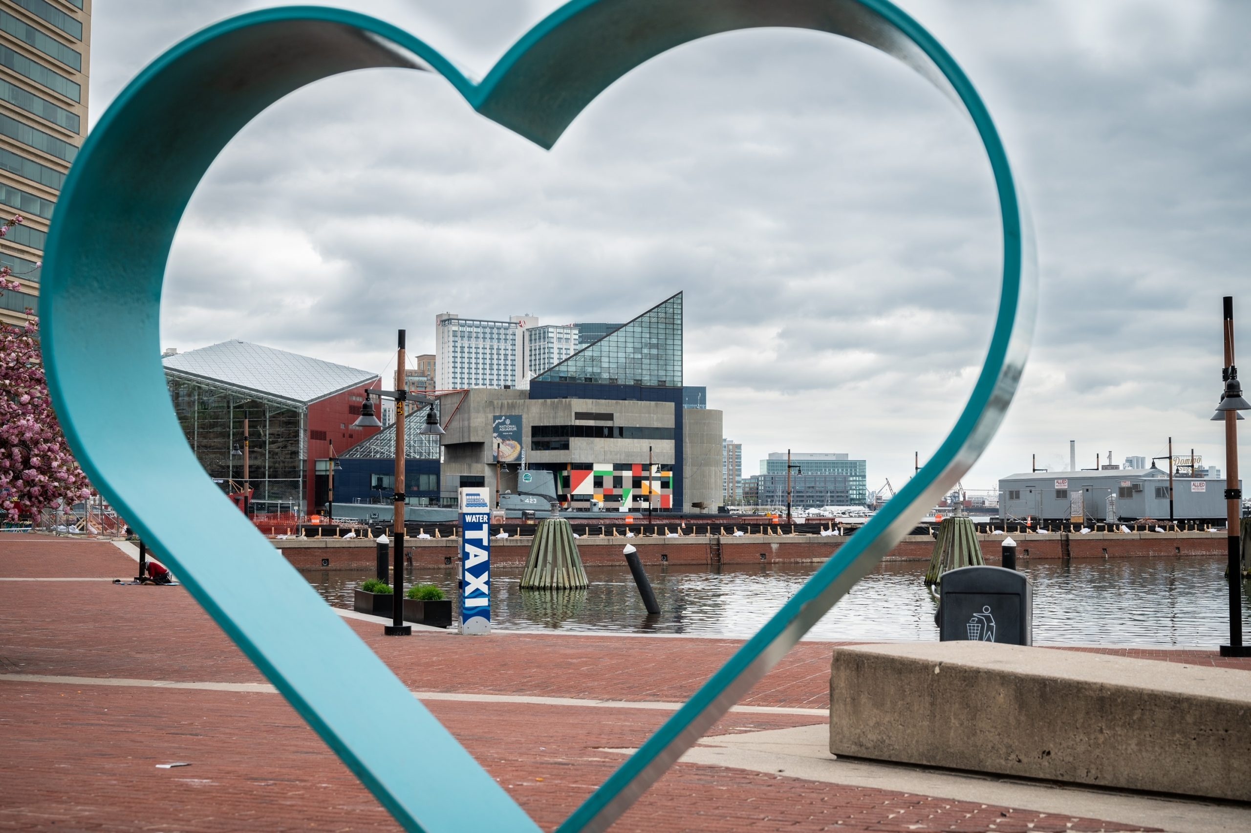 National Aquarium (Baltimore), Baltimore photo essay, Bmoreart feature, 2560x1710 HD Desktop