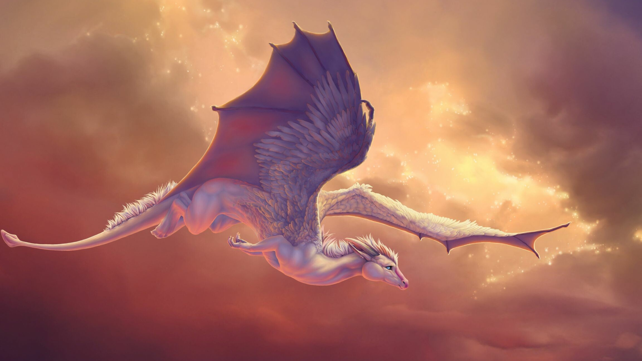 Cute dragons, Adorable creatures, Playful companions, Whimsical charm, 2560x1440 HD Desktop
