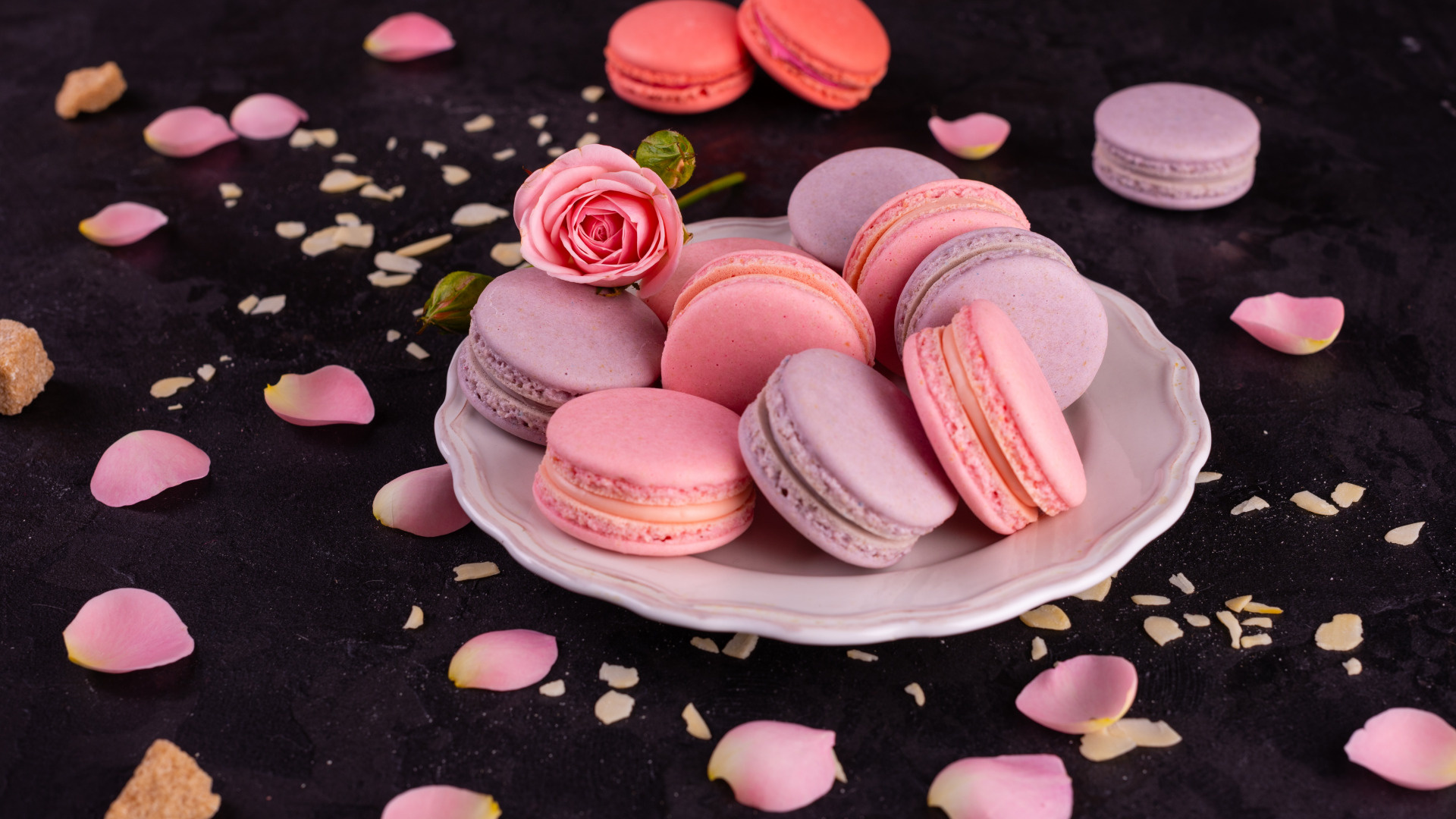 Download wallpaper rose petals, Macaron section food, Colorful French pastries, Delicious treats, 1920x1080 Full HD Desktop