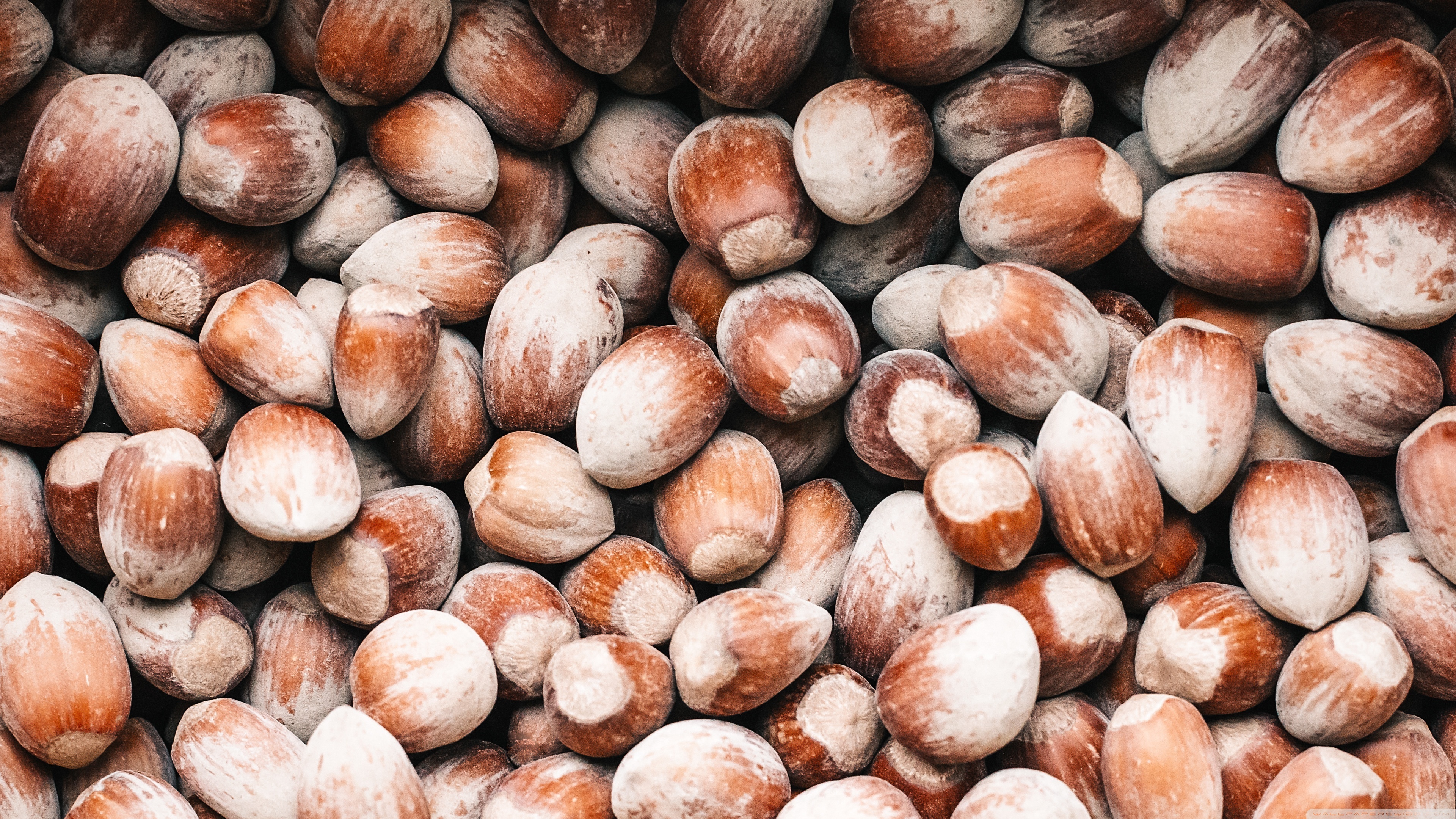 Hazelnuts, Ultra HD, Desktop background, Widescreen, 3840x2160 4K Desktop