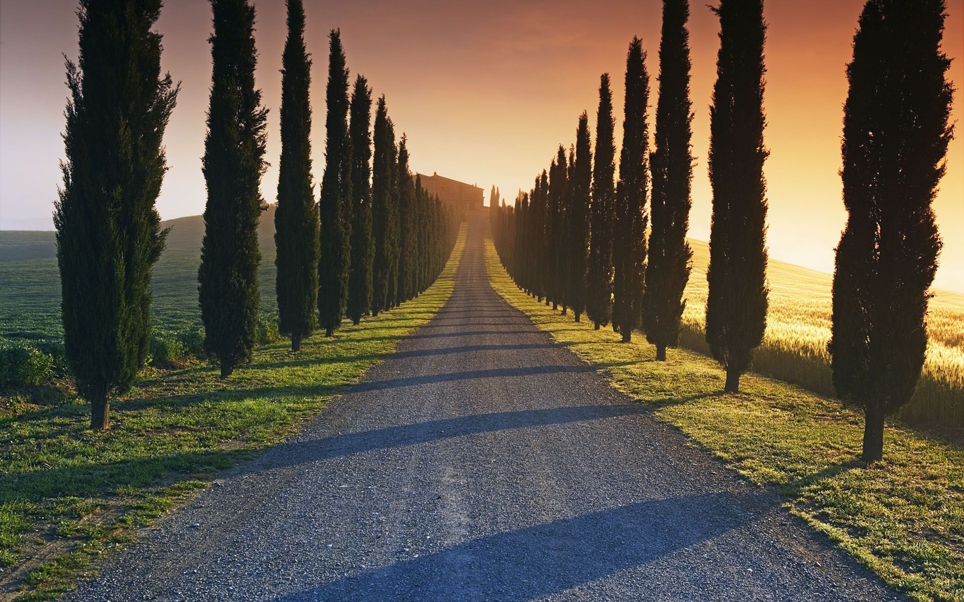 Cypress Tree, Pin on Italy, 1920x1200 HD Desktop