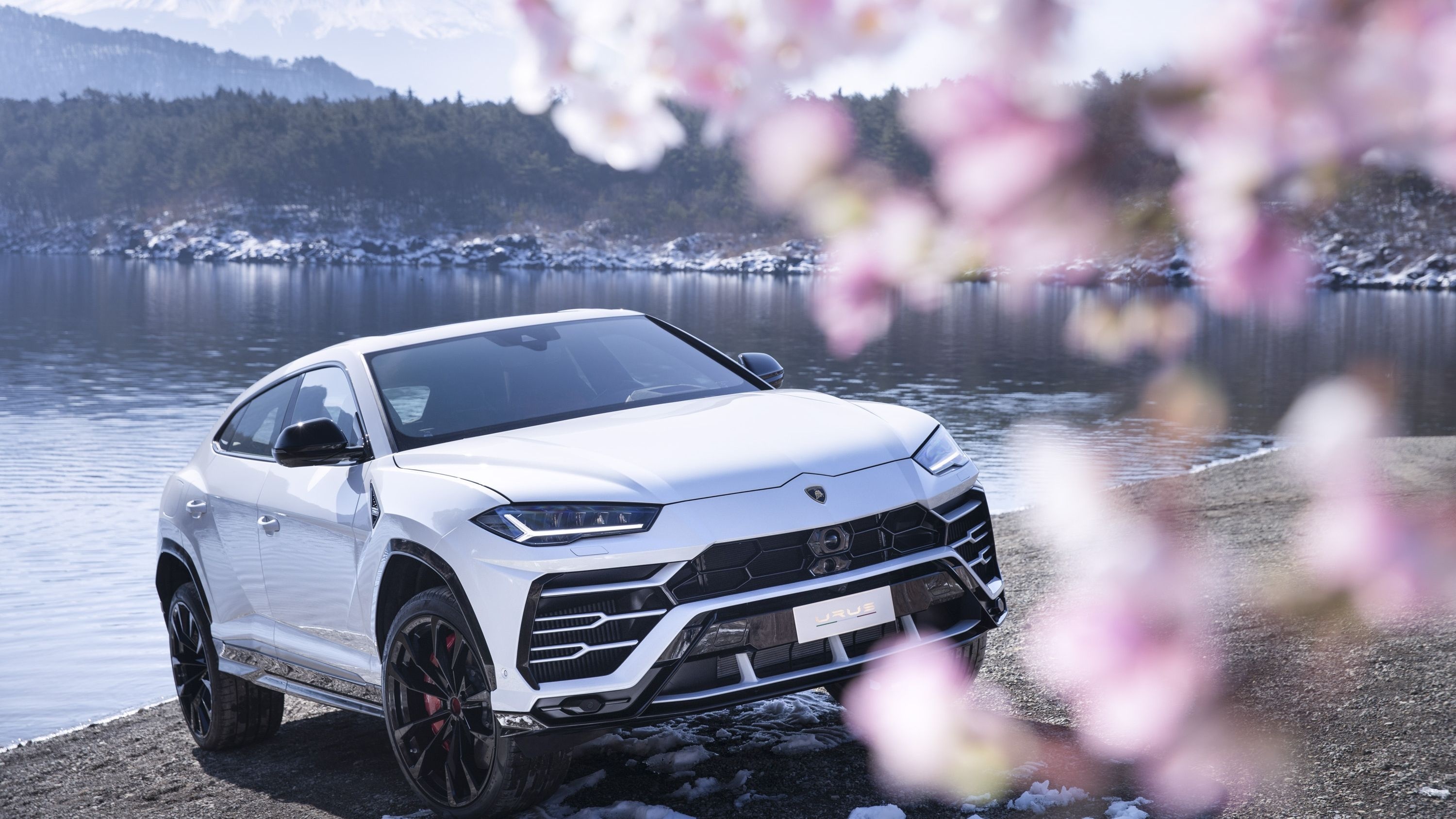 Lamborghini Urus, White aesthetic, HD backgrounds, 3000x1690 HD Desktop