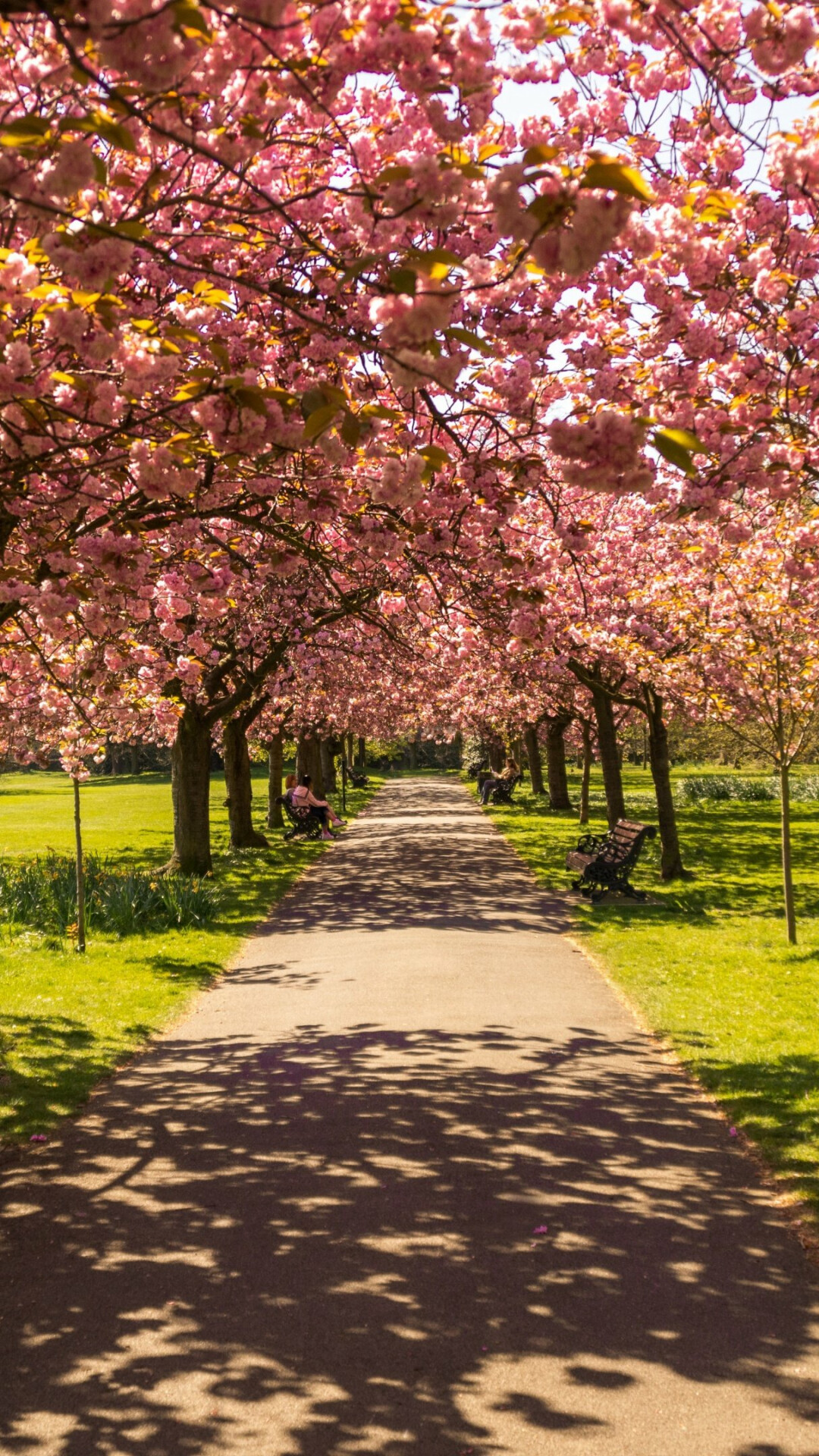 Scenic park, Stunning landscapes, Refreshing nature, Beautiful surroundings, 1080x1920 Full HD Phone