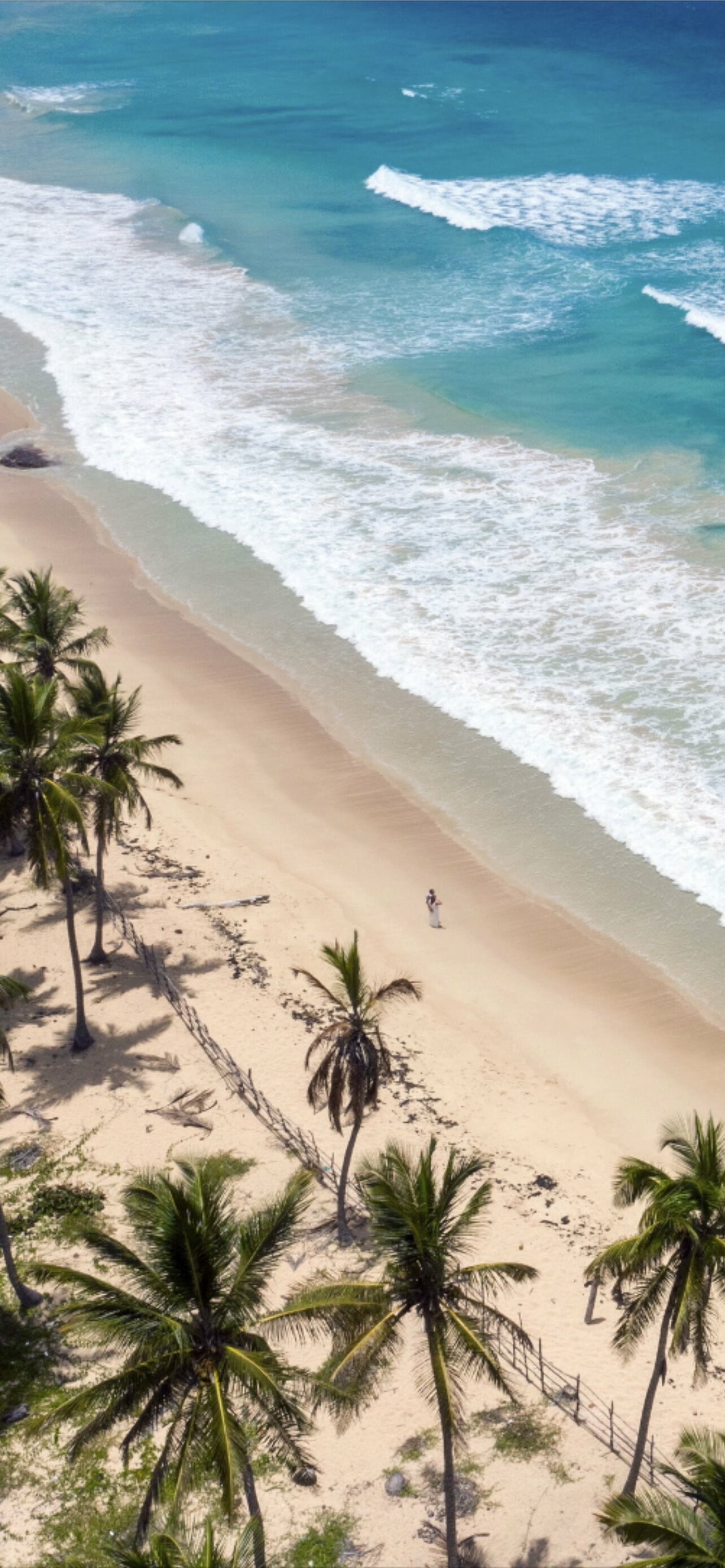Dominican Republic, Best wallpapers, Island getaway, Stunning beaches, 1290x2780 HD Phone
