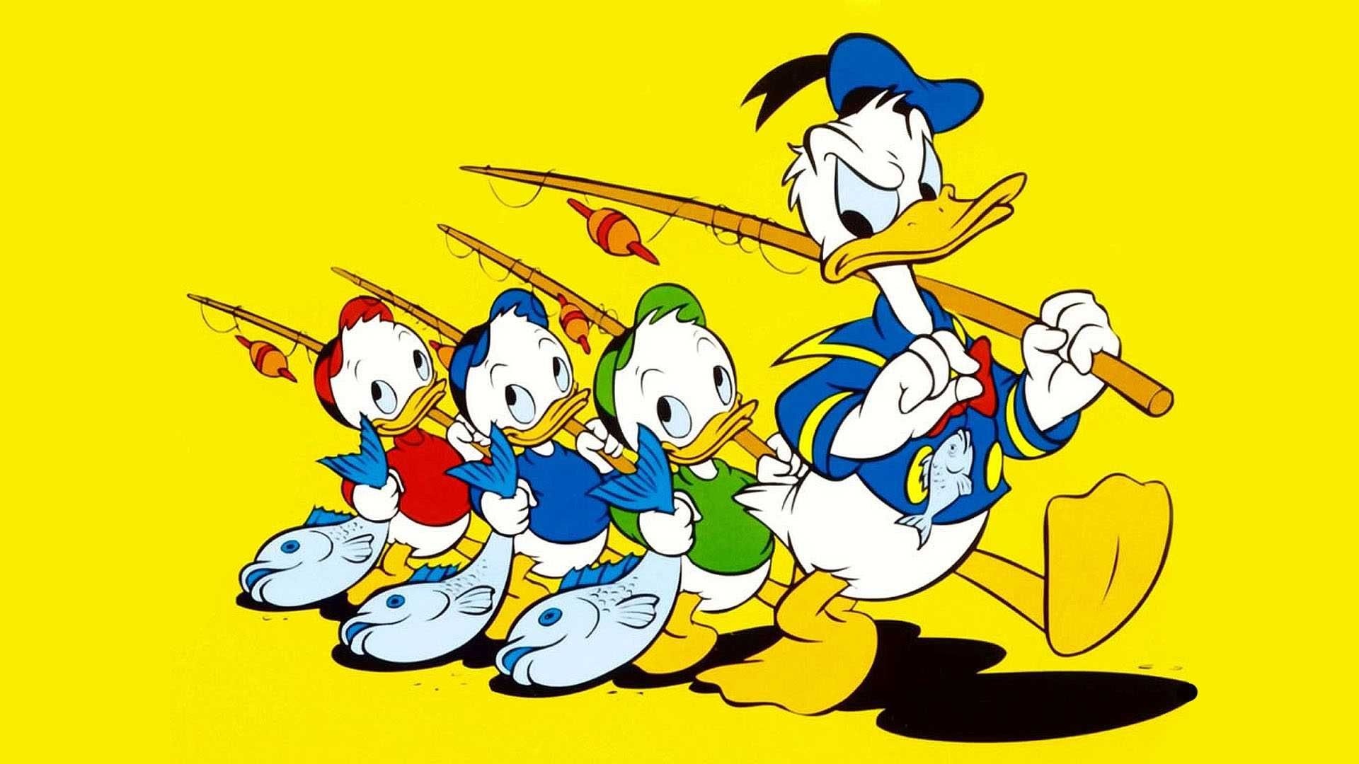 Donald Duck, Cartoon character, Playful aesthetic, Disney favorite, 1920x1080 Full HD Desktop