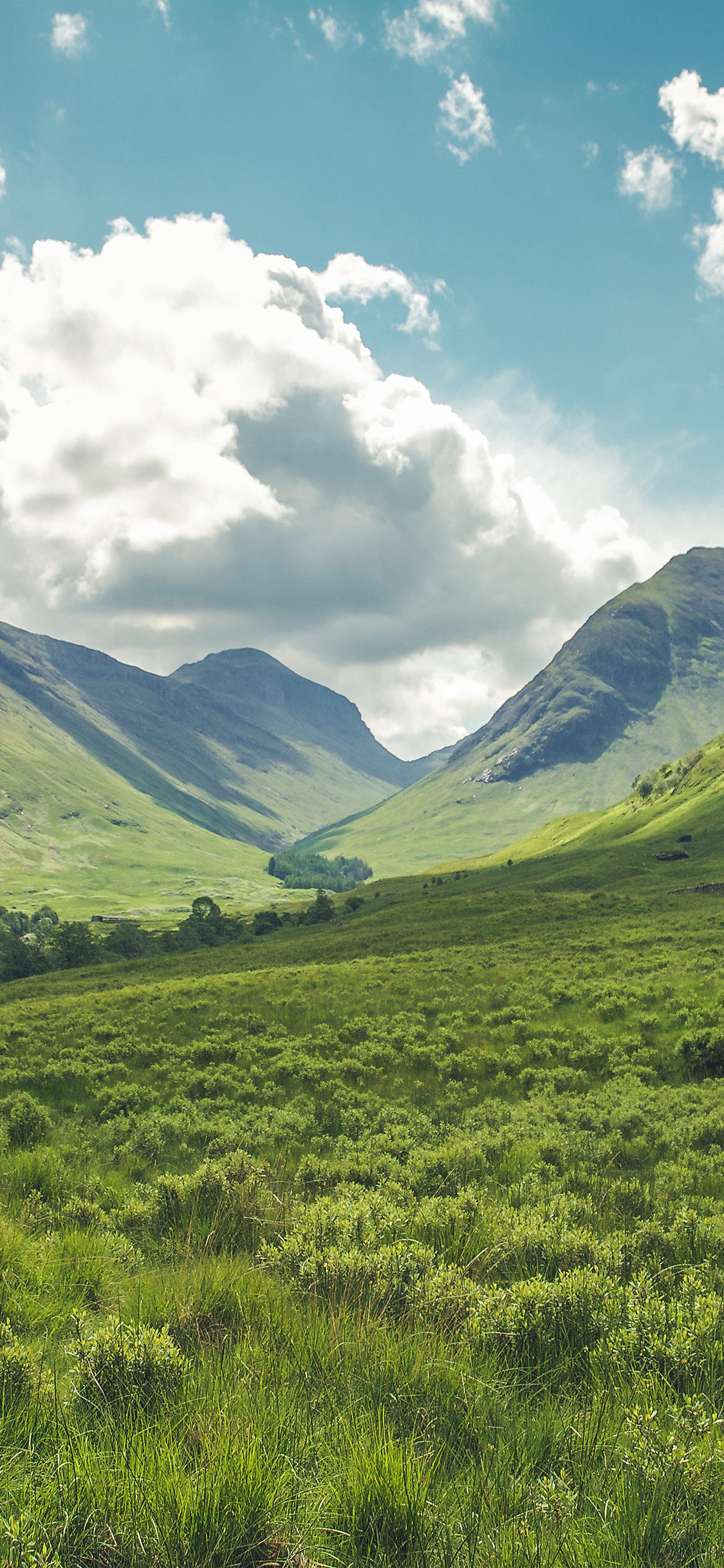 Scottish Highlands valley, lush green moorland, cumulus cloudscape, HD Phone wallpaper