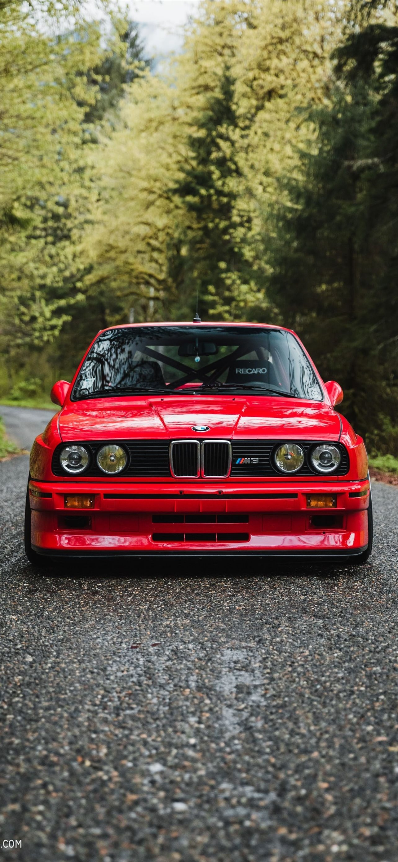 red BMW M3 E30, Recaro race seats, wet forest road, HD Phone wallpaper