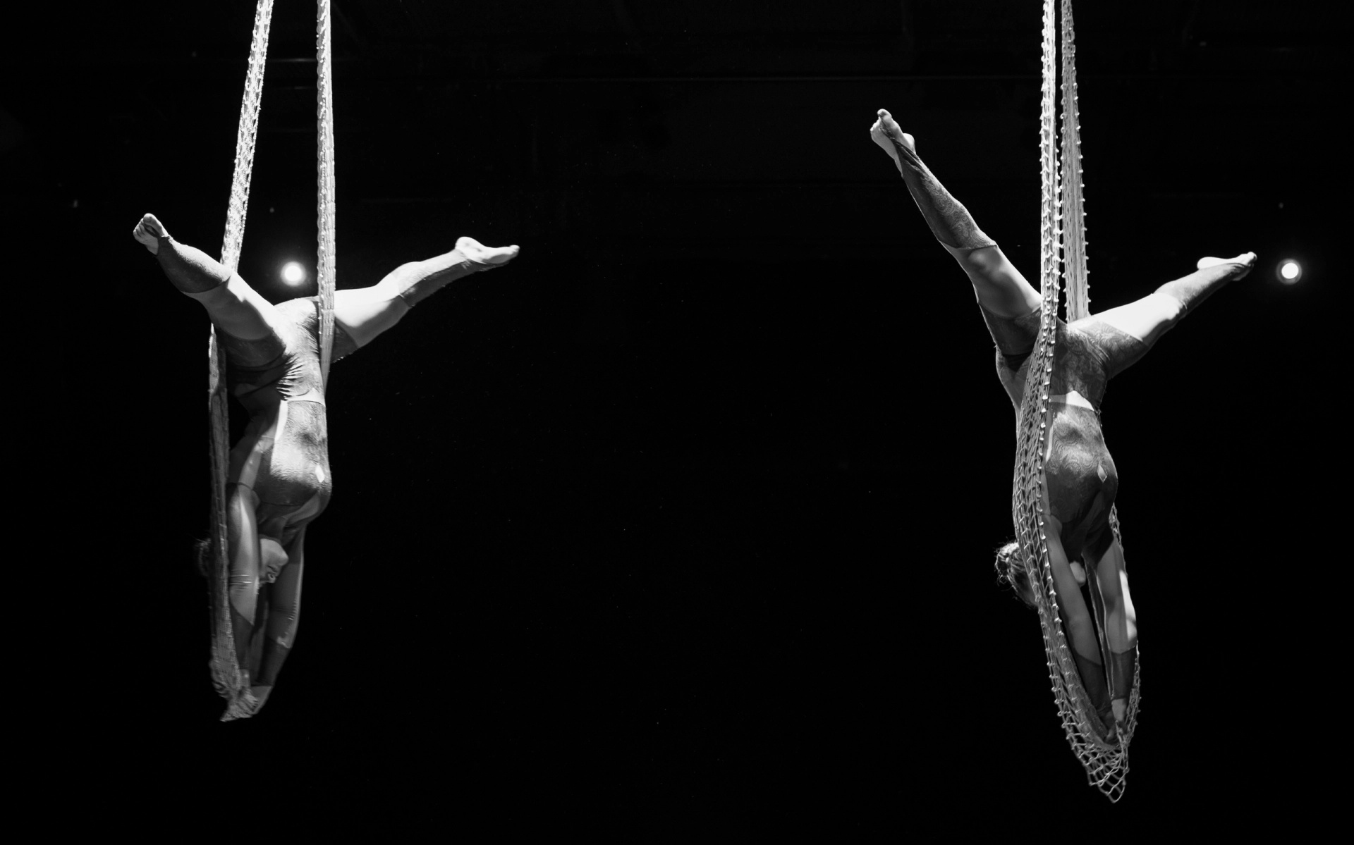 Aerial Silks, VR infoforum, Movimentografing, Digital experience, 1920x1200 HD Desktop