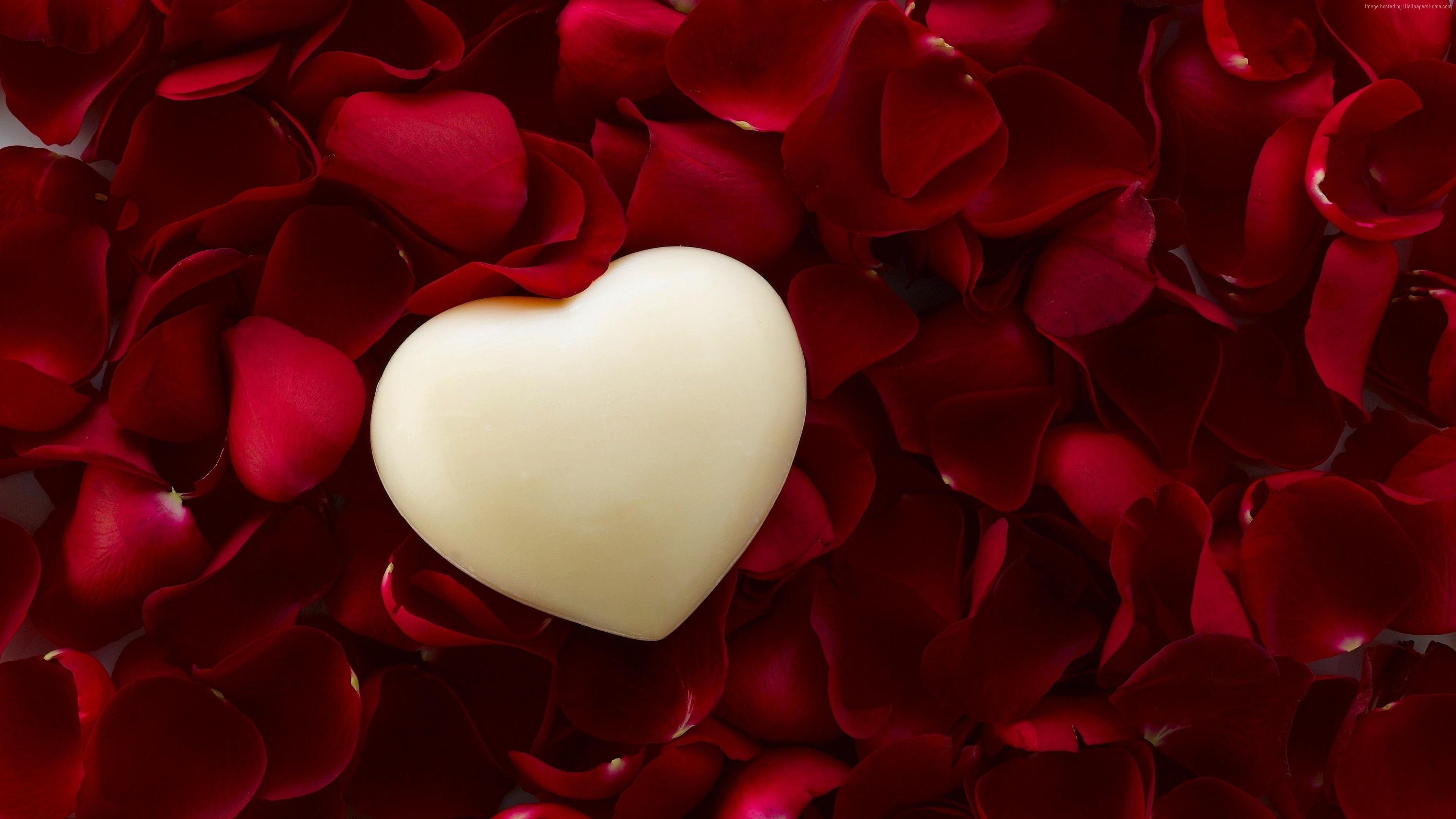 Petals, Hearts and Flowers Wallpaper, 3840x2160 4K Desktop