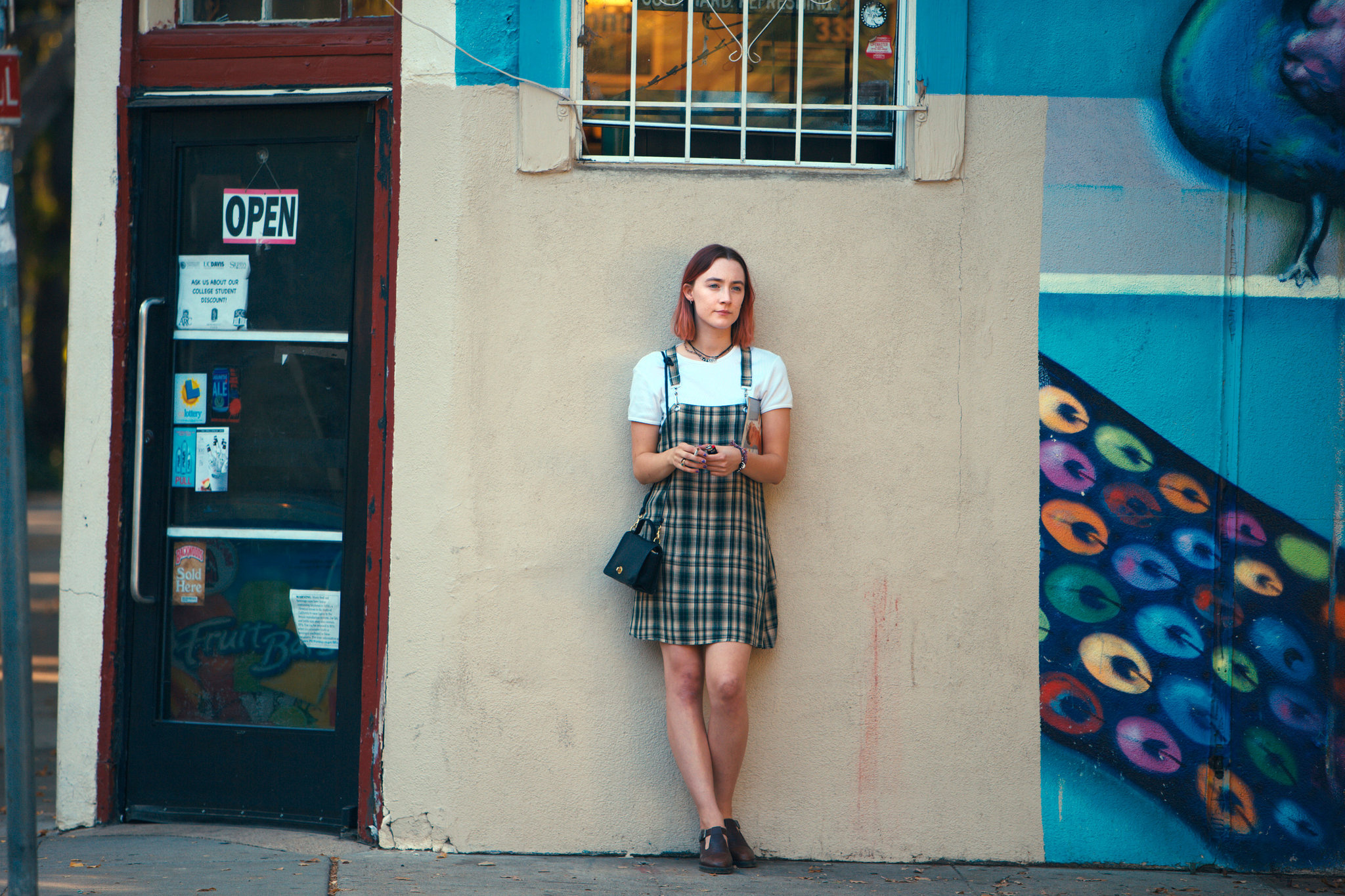 Lady Bird, Perfect on-screen portrayal, New York Times review, Flawless execution, 2050x1370 HD Desktop