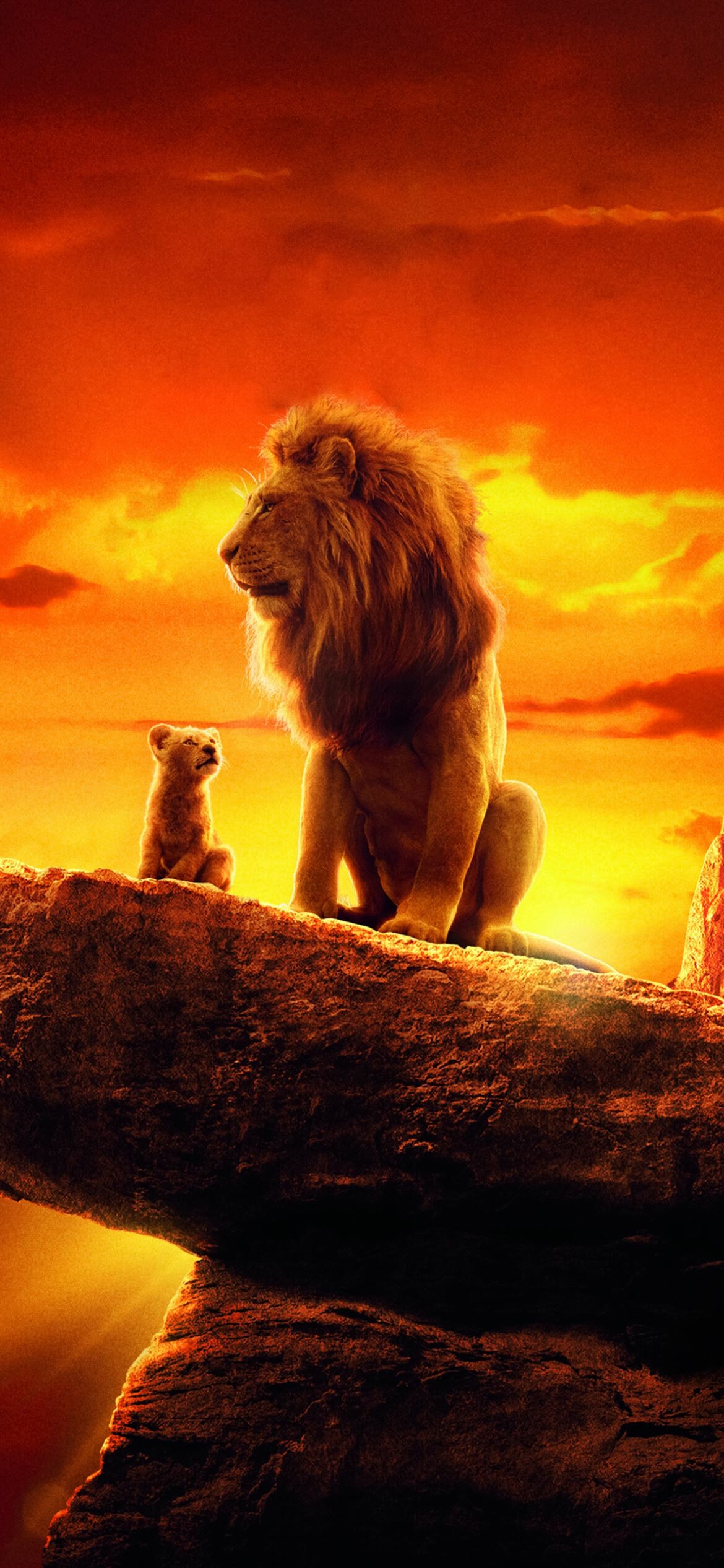 Mufasa and Simba, The Lion King Wallpaper, 1170x2540 HD Phone
