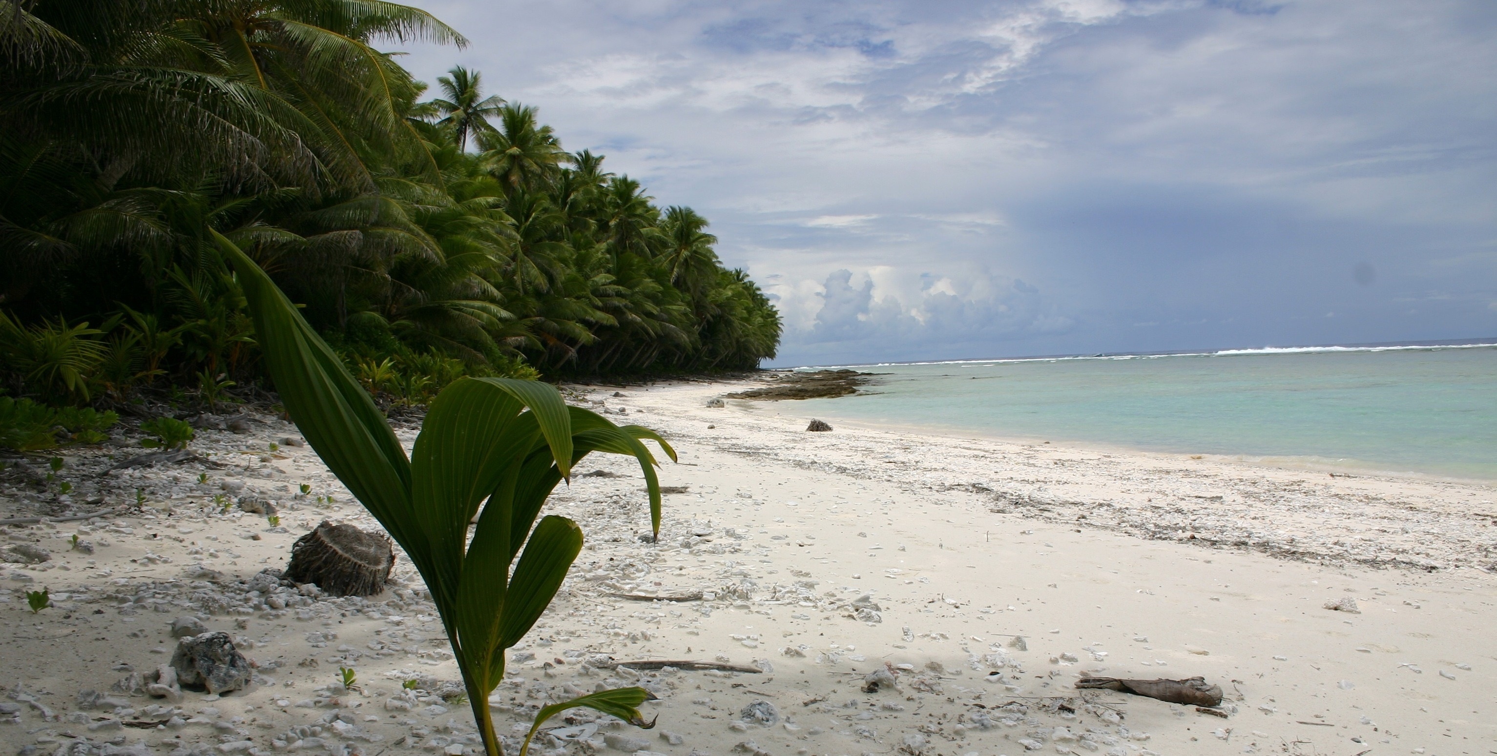 American Samoa Travels, Active Holidays, Adventurous Fun, Outdoor Activities, 3070x1550 HD Desktop