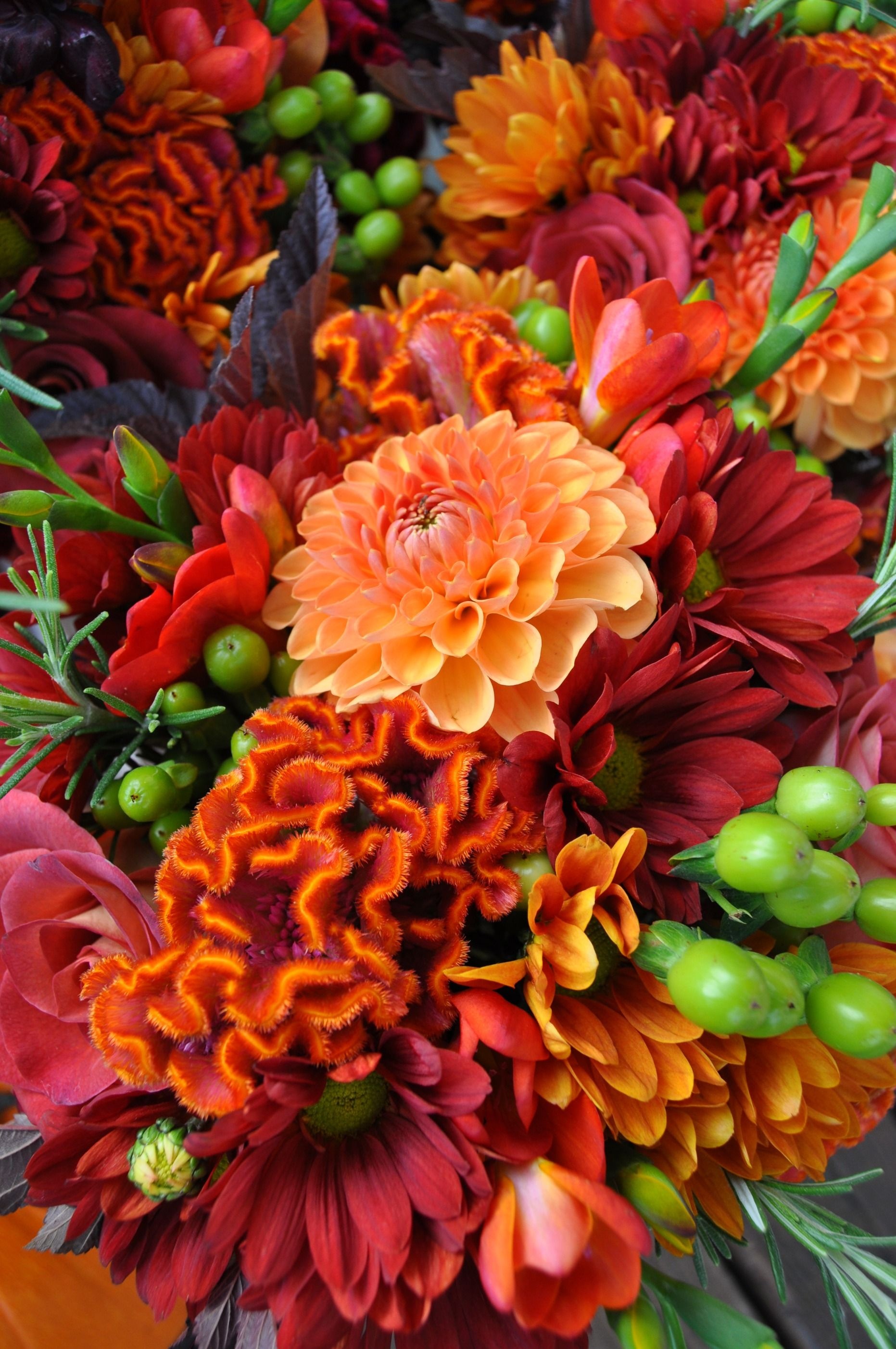 Orange dahlia bloom, Orange cockscomb celosia, Burgundy chrysanthemum flowers, Green hypericum berries, HD Phone wallpaper