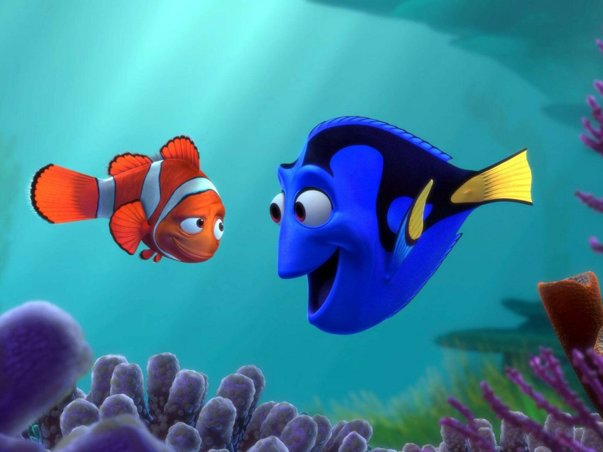 Finding Dory, Finding Nemo Wallpaper, 2050x1540 HD Desktop