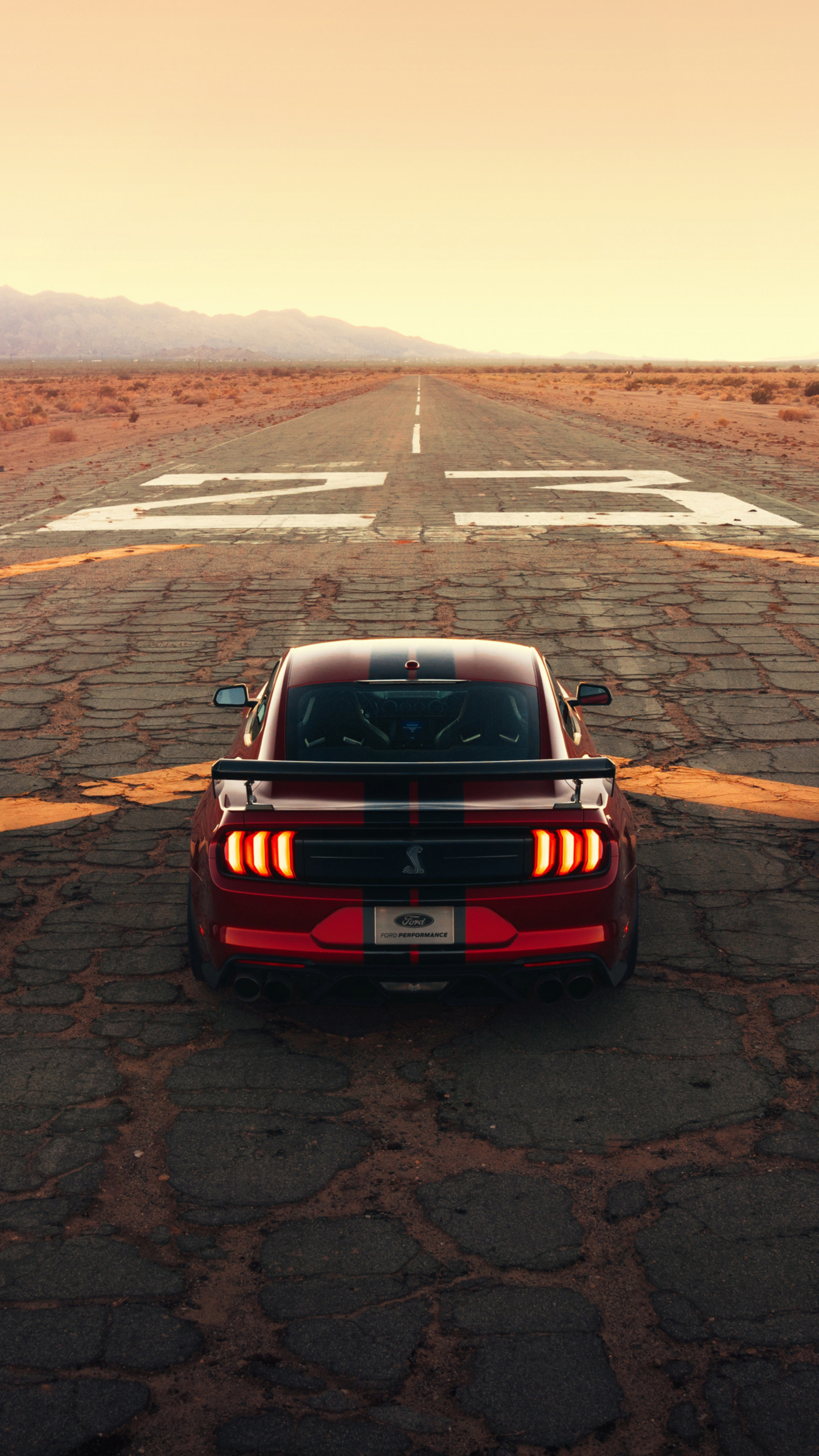 Shelby Rear View, GT500 Wallpaper, 2160x3840 4K Phone