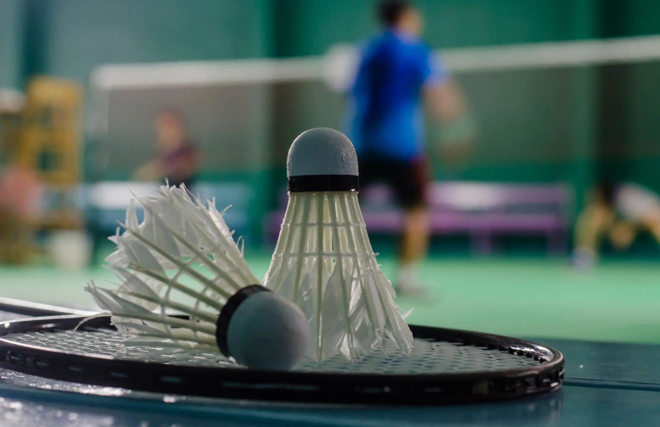 Badminton coach Singapore, Private badminton classes, Affordable training, Expert coaching, 2230x1440 HD Desktop