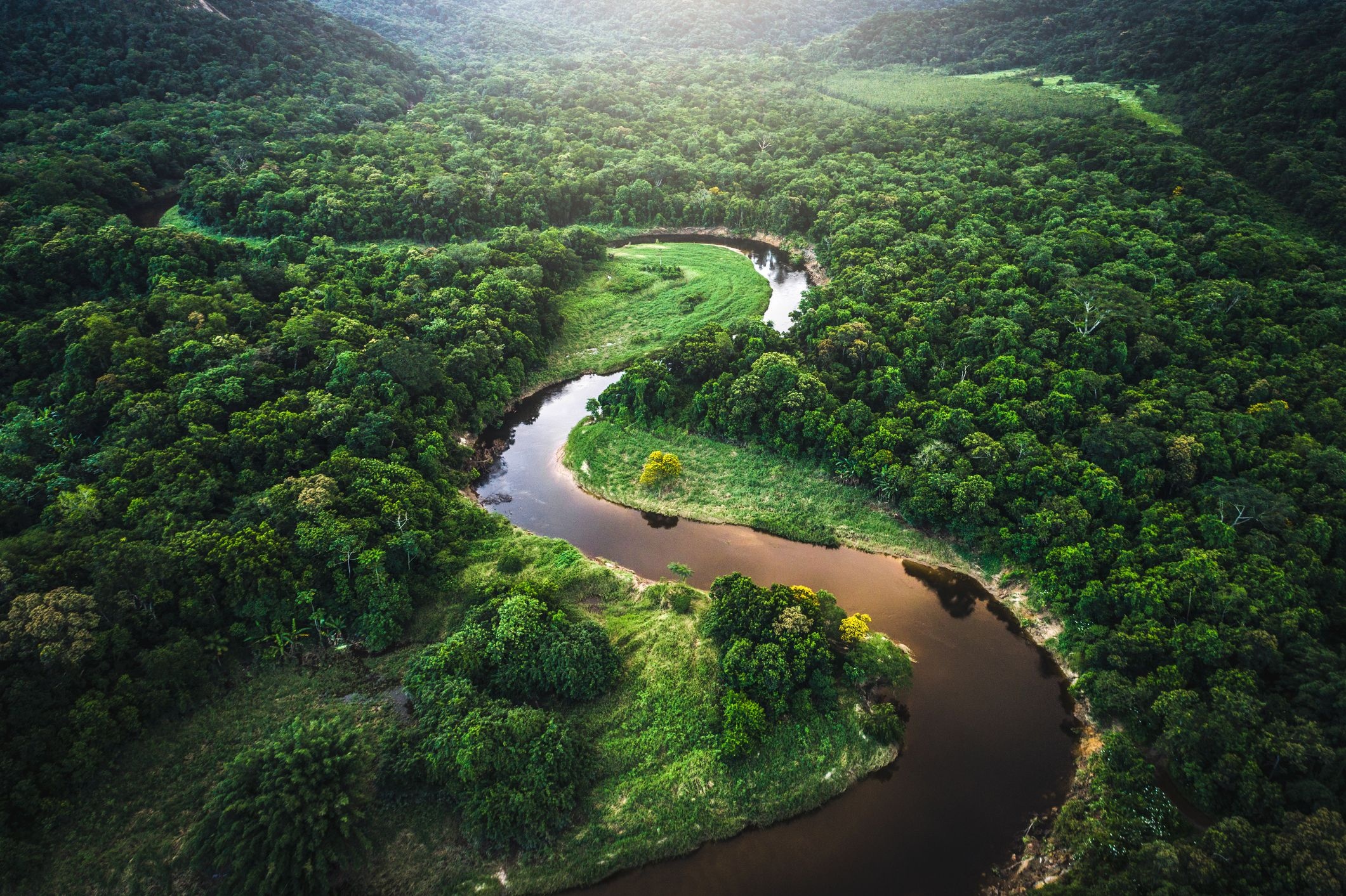 Amazon Rain Forest, Importance, Rainforest facts, 2130x1420 HD Desktop