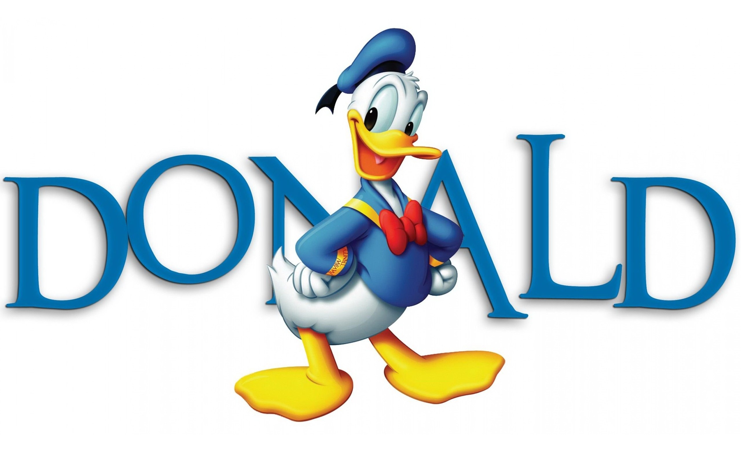 Donald Duck, High definition, Captivating visuals, Beloved character, 2560x1600 HD Desktop