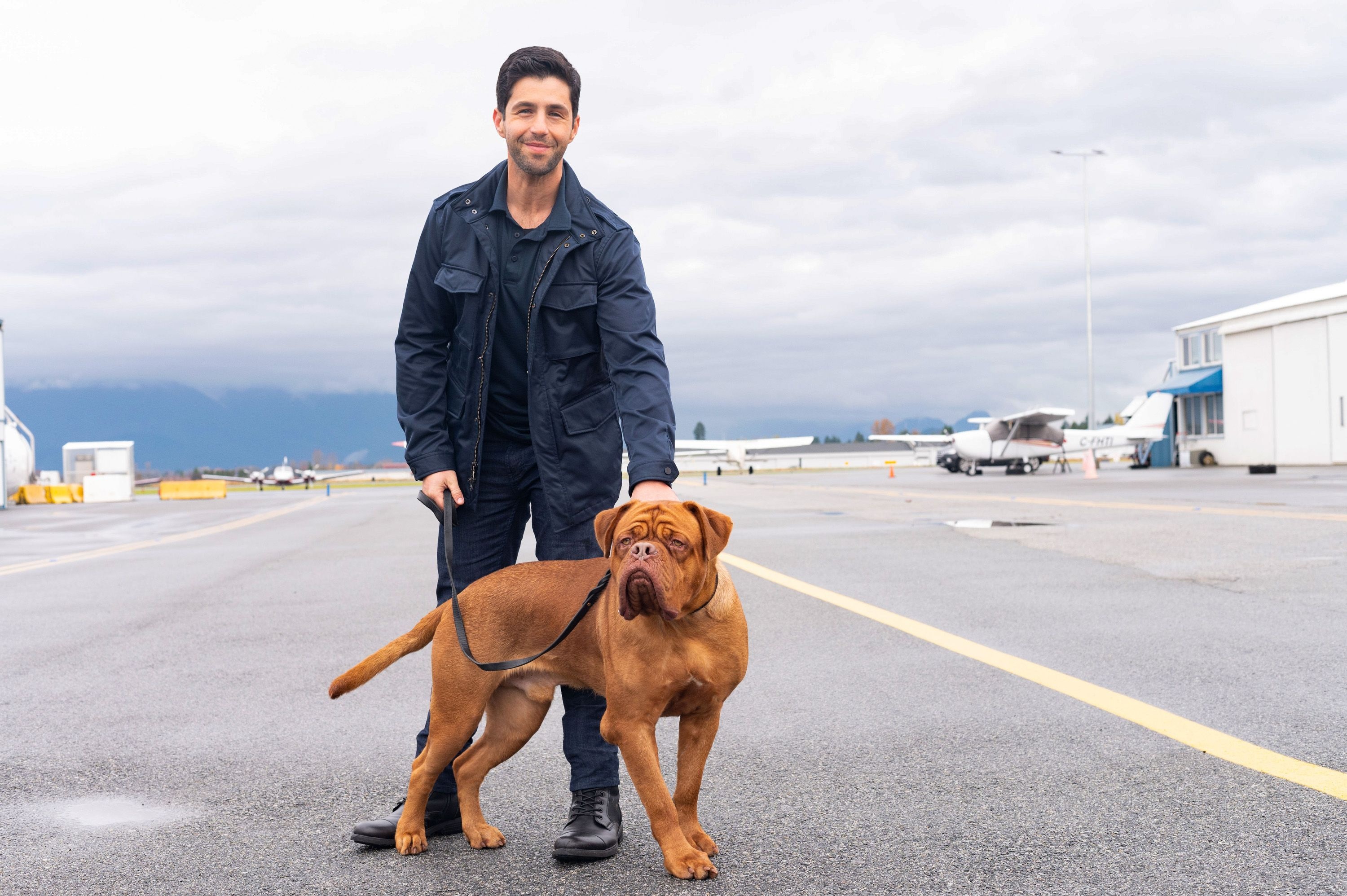 Josh Peck, Turner and Hooch Reboot, Disney series, Josh Peck, 3000x2000 HD Desktop
