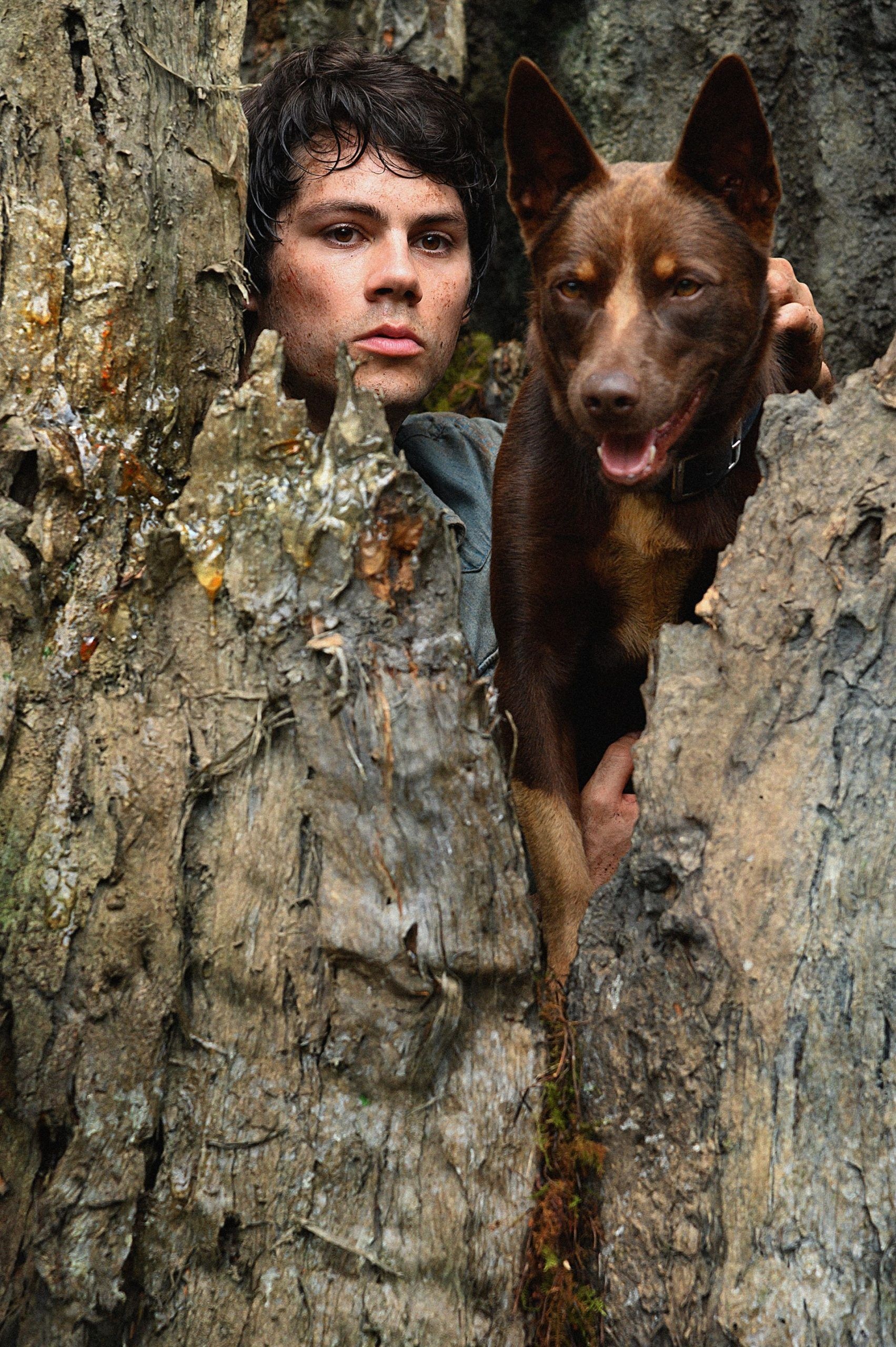 Love and Monsters, Movie review, Unexpected monster movie, Dylan O'Brien, 1710x2560 HD Phone