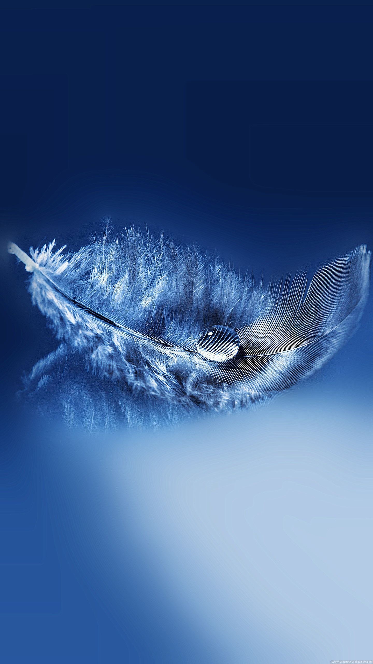 Feather background, Colorful feathers, Artistic wallpapers, Amazing photography, 1440x2560 HD Phone