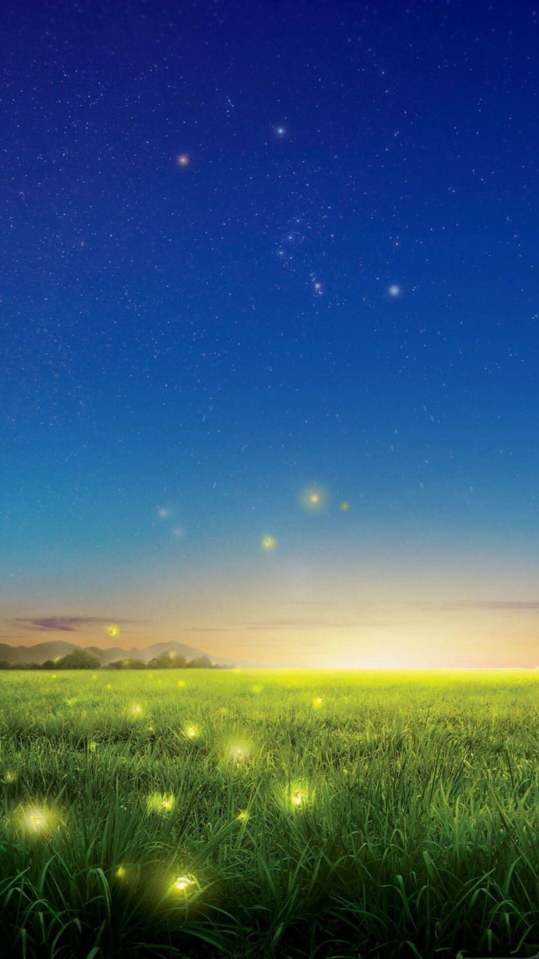 Grass field, Firefly (Insect) Wallpaper, 1080x1920 Full HD Phone