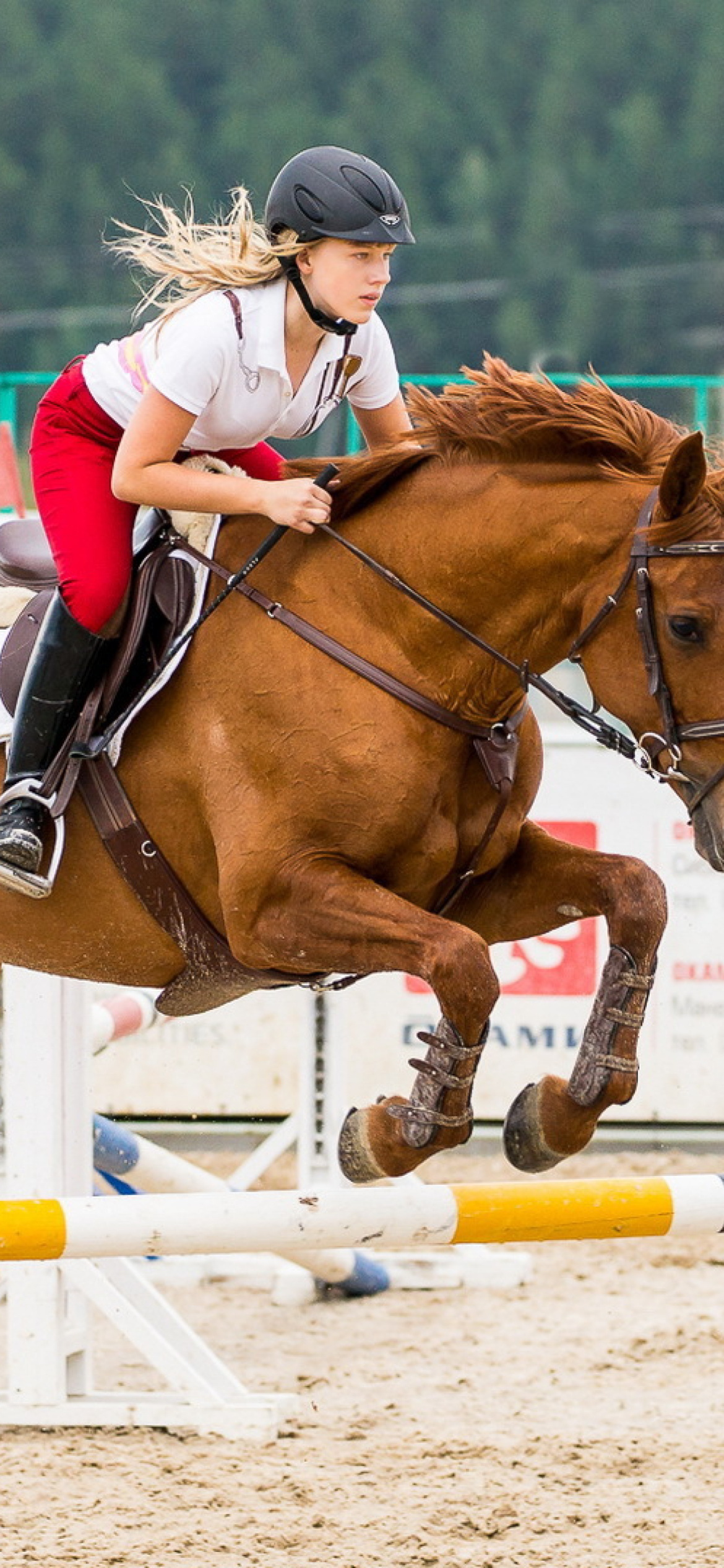 Equestrian sport wallpaper, iPhone 11 background, Dynamic sports image, Horse riding excitement, 1170x2540 HD Phone