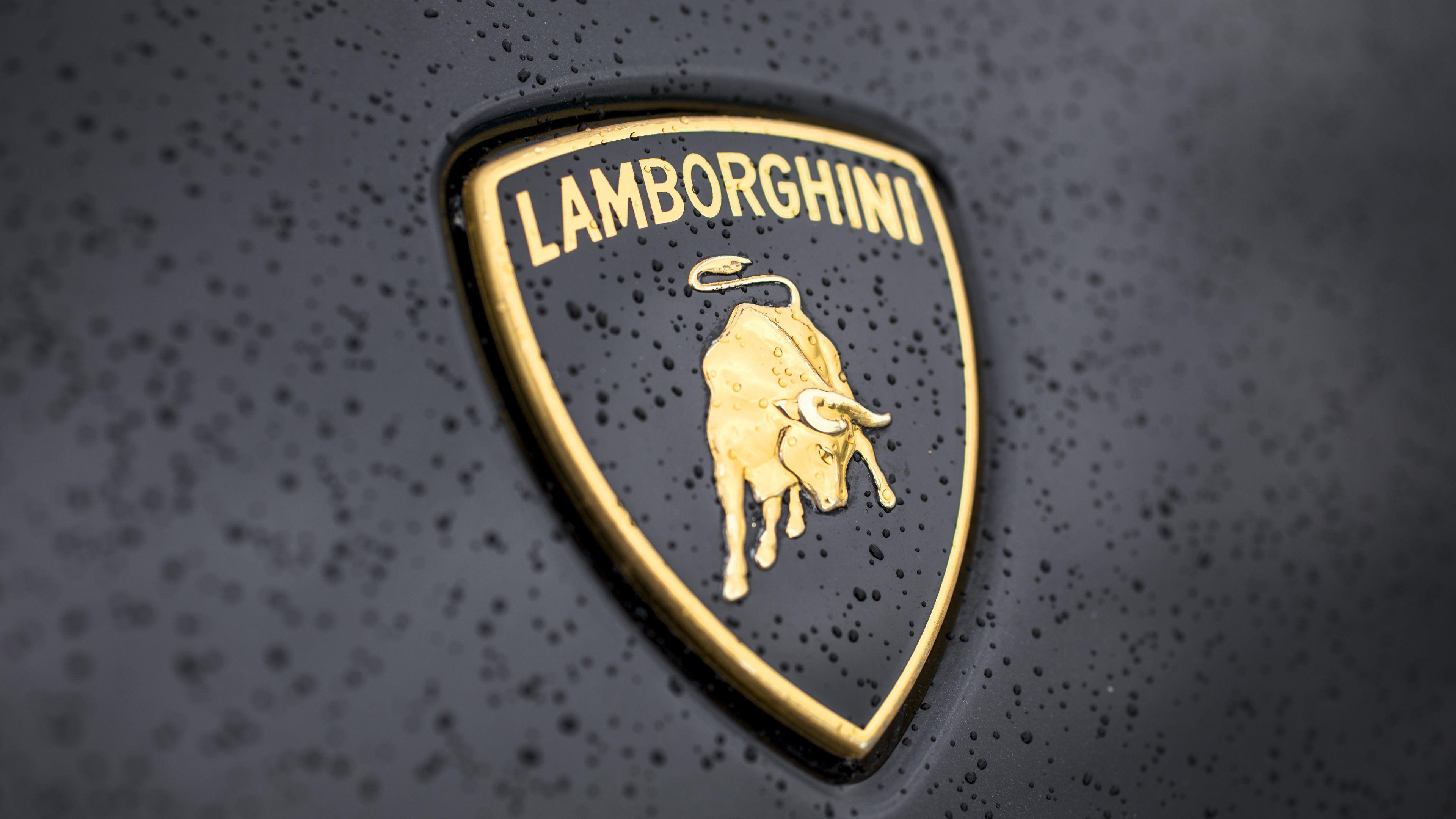 Wet, Lamborghini Logo Wallpaper, 3840x2160 4K Desktop