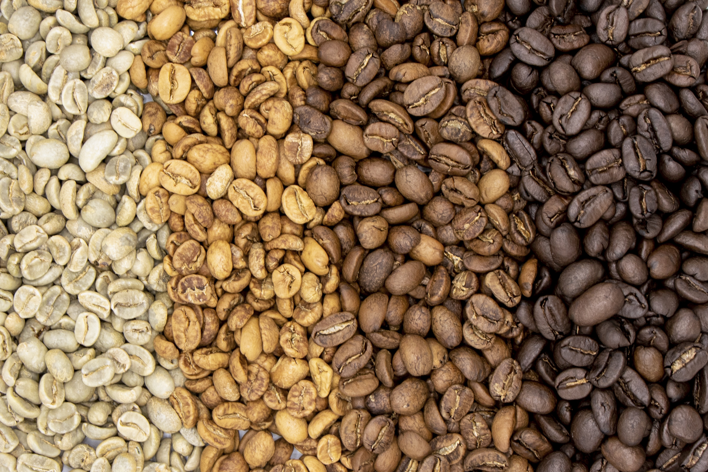 Coffee beans, Art of roasting, Flavorsome delight, Coffee journey, 2470x1650 HD Desktop